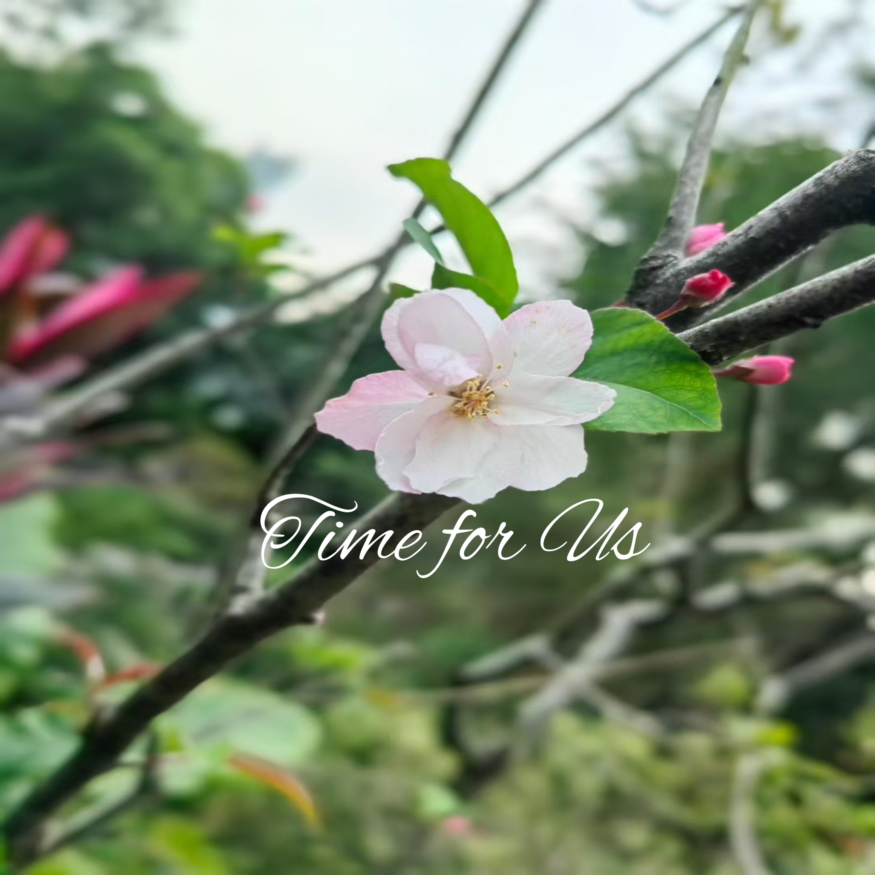 Time for Us artwork