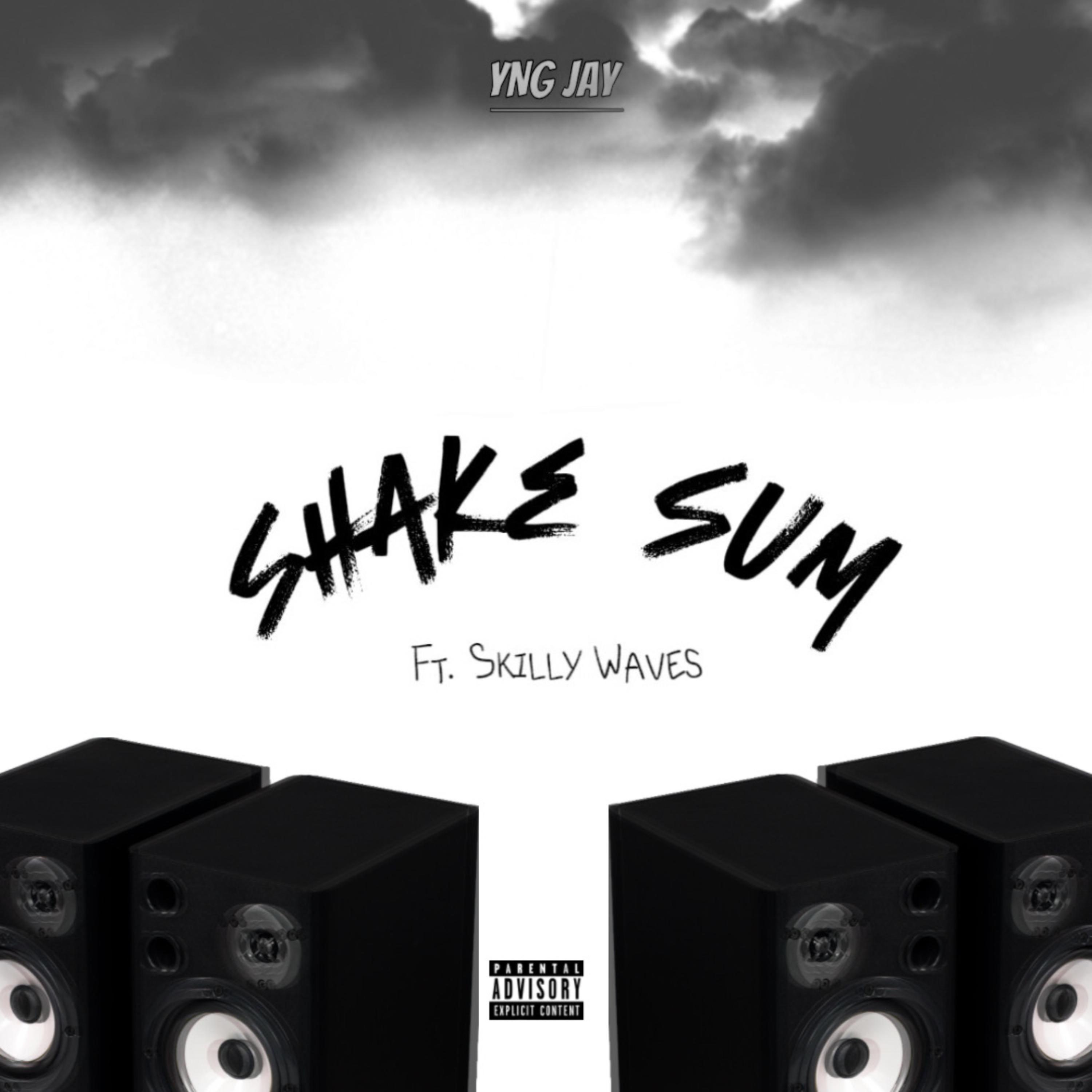 SHAKE SUM artwork