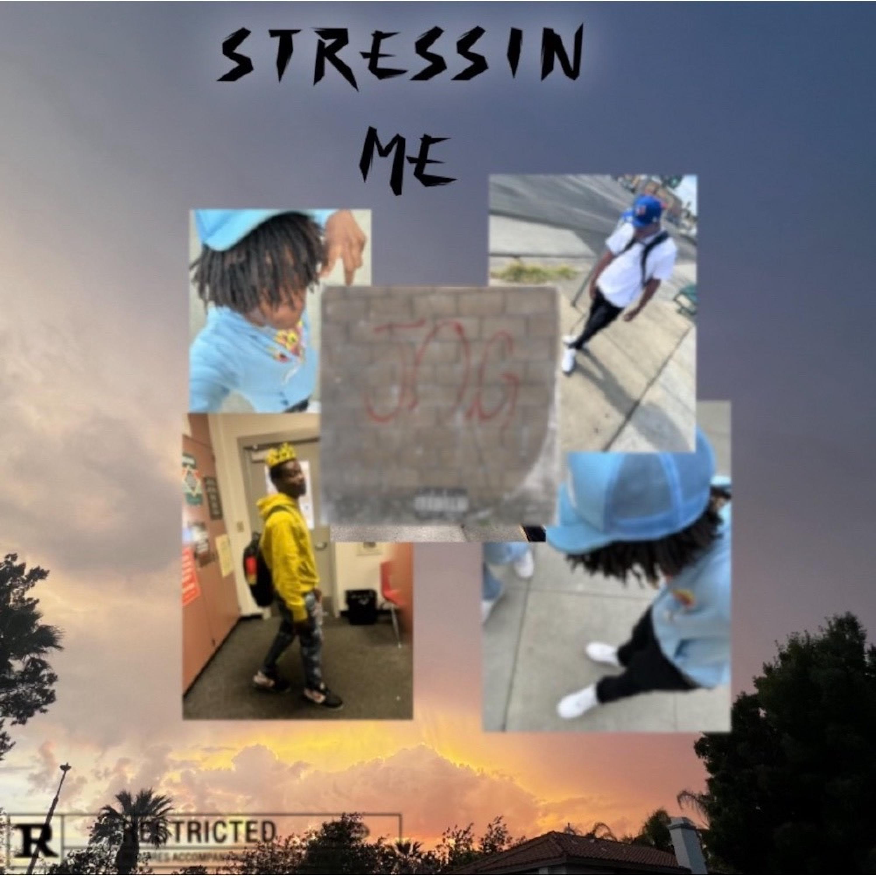 Stressin me artwork