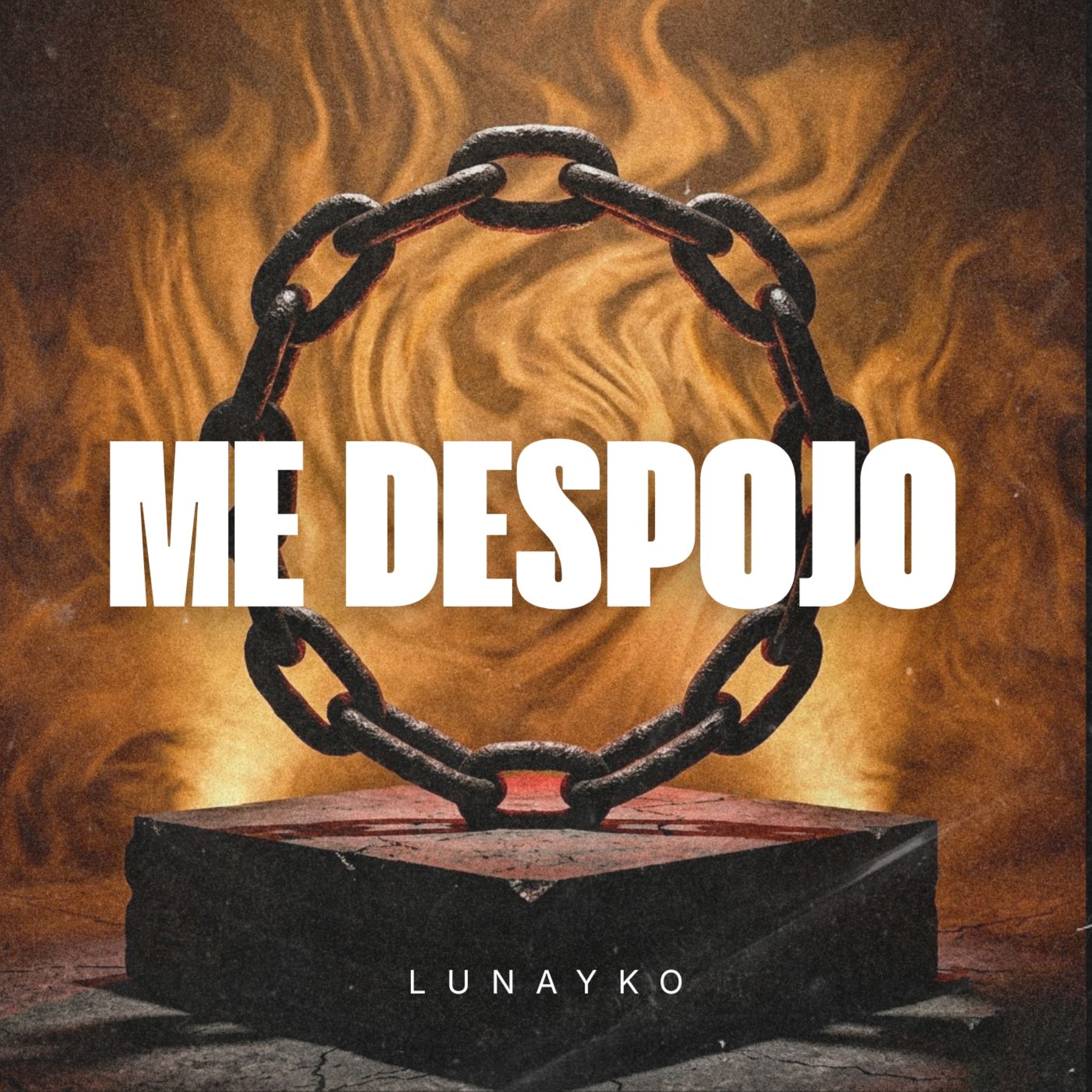 Me Despojo artwork