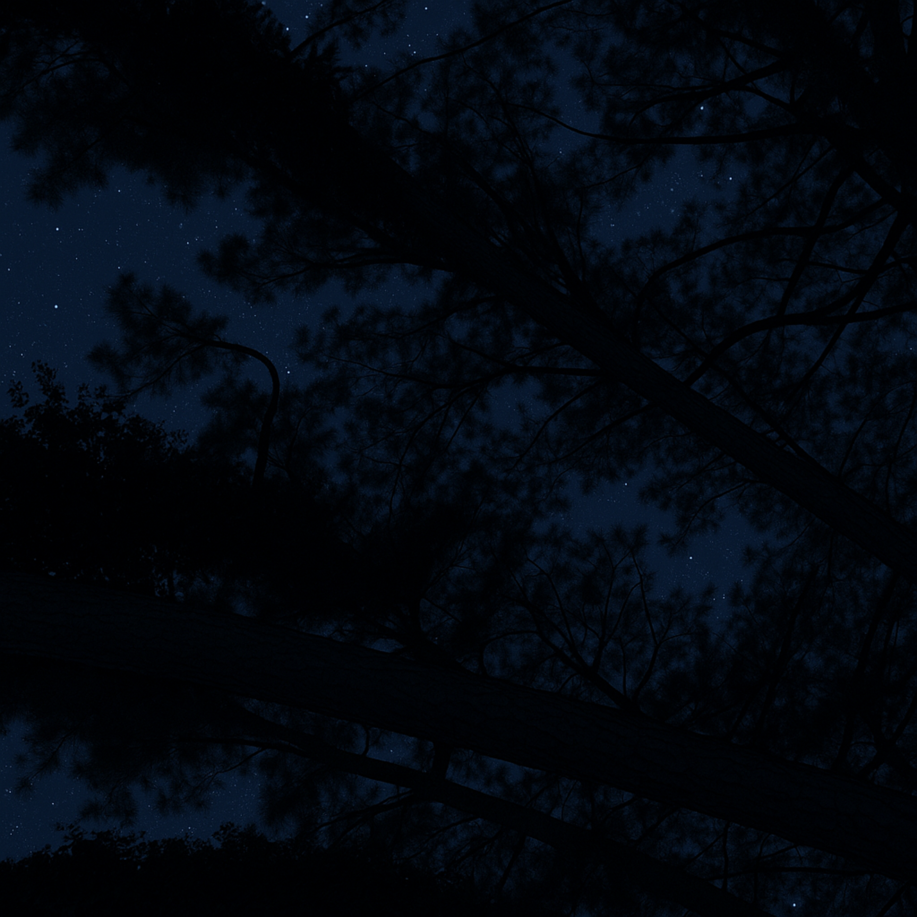 Dusk artwork
