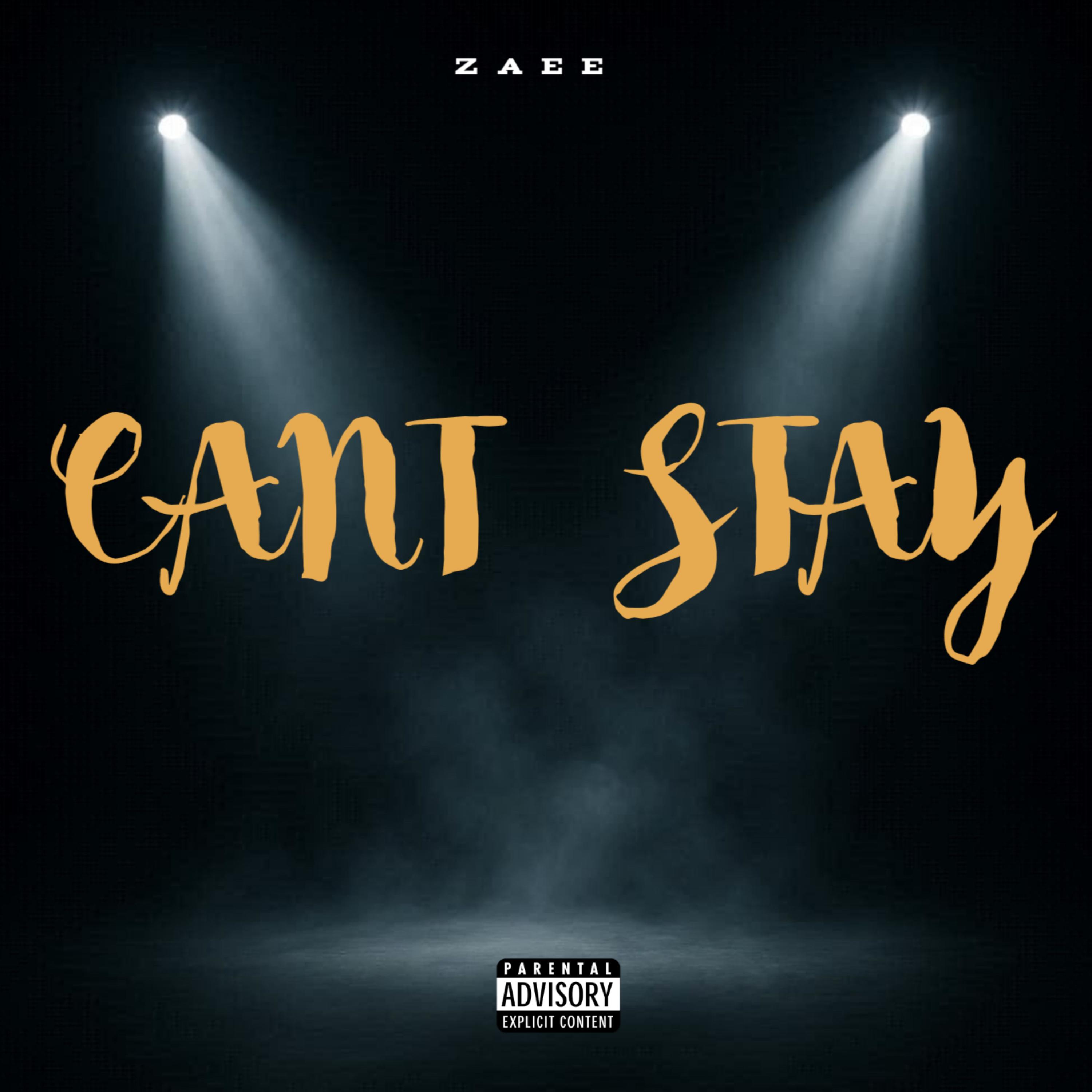 Can’t Stay artwork