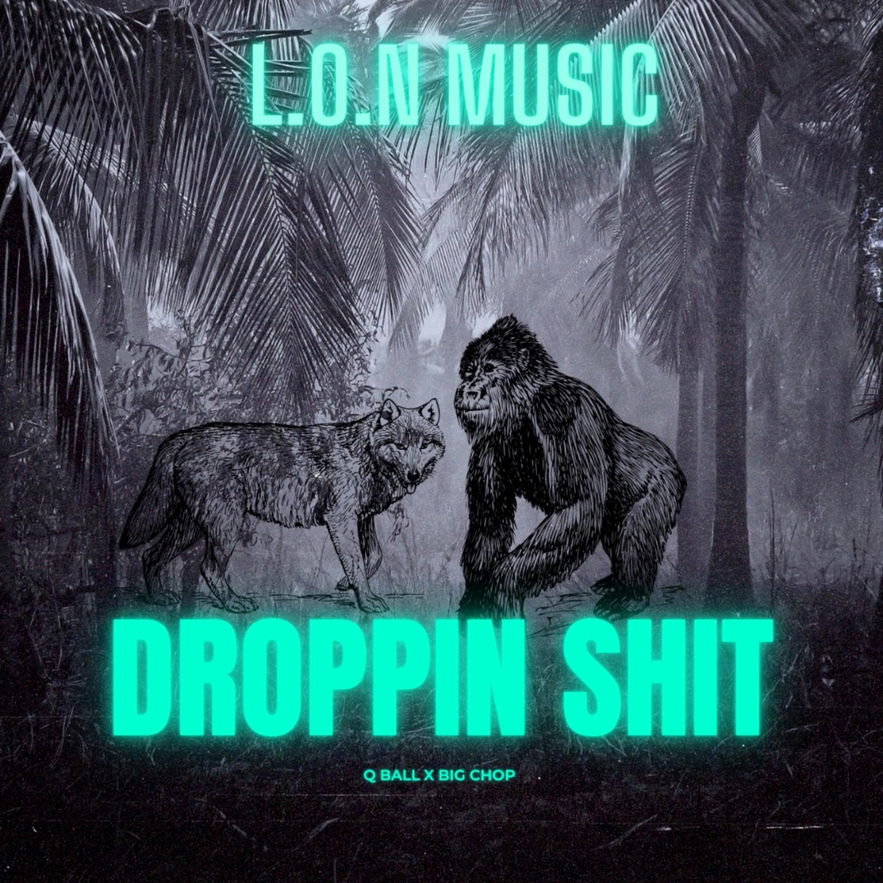 Droppin Shit artwork