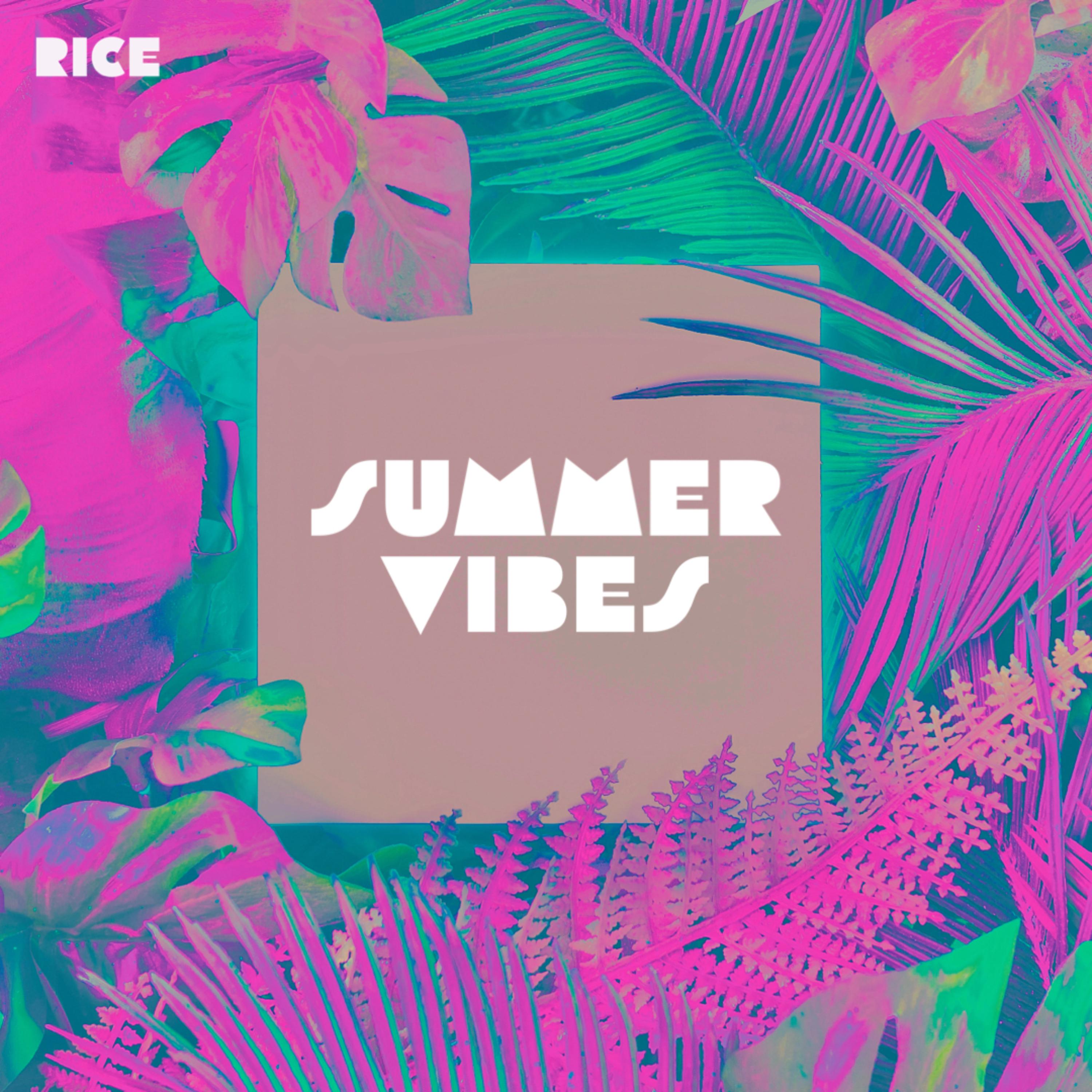 Summer Vibes artwork
