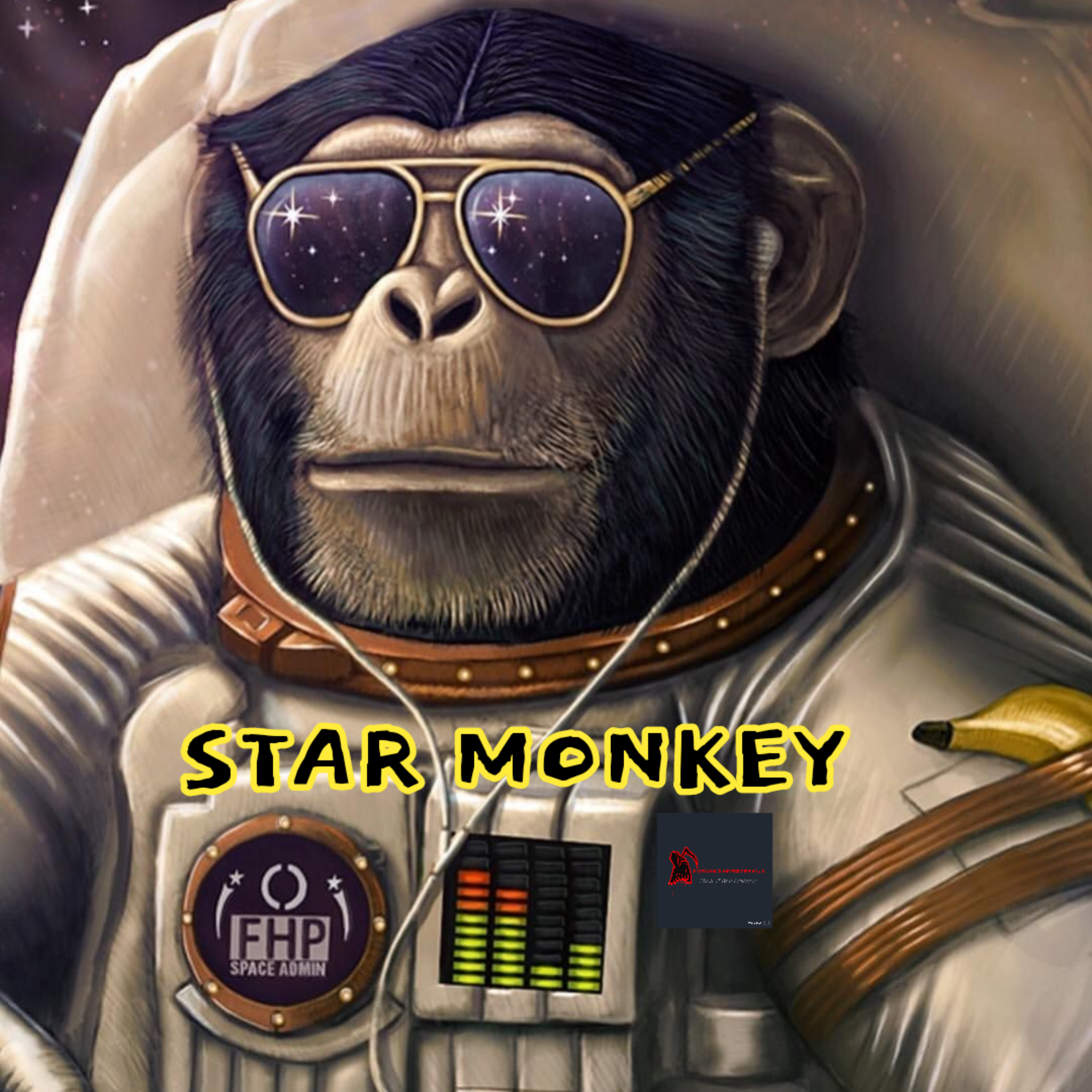 STAR MONKEY artwork