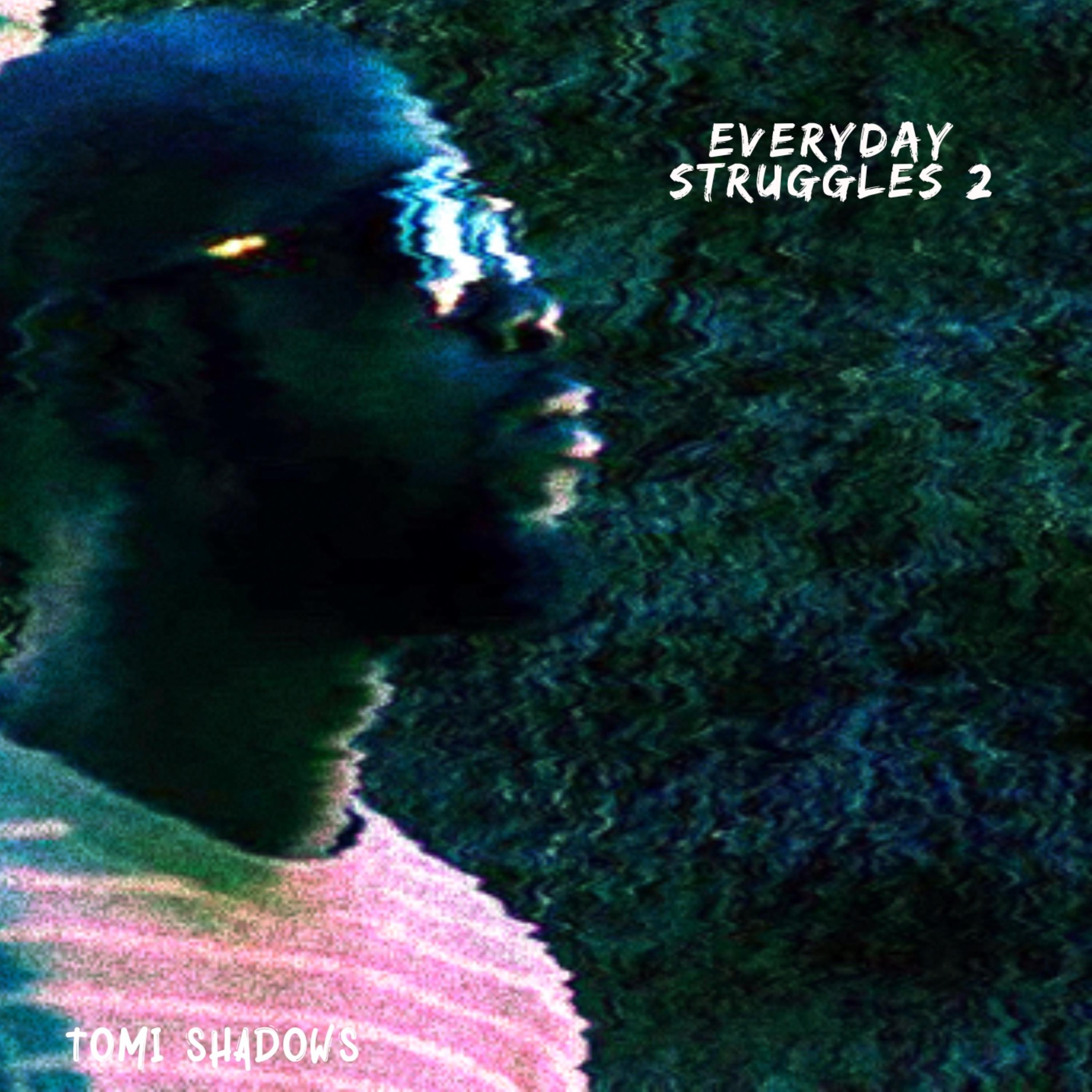 Everyday Struggles 2 artwork
