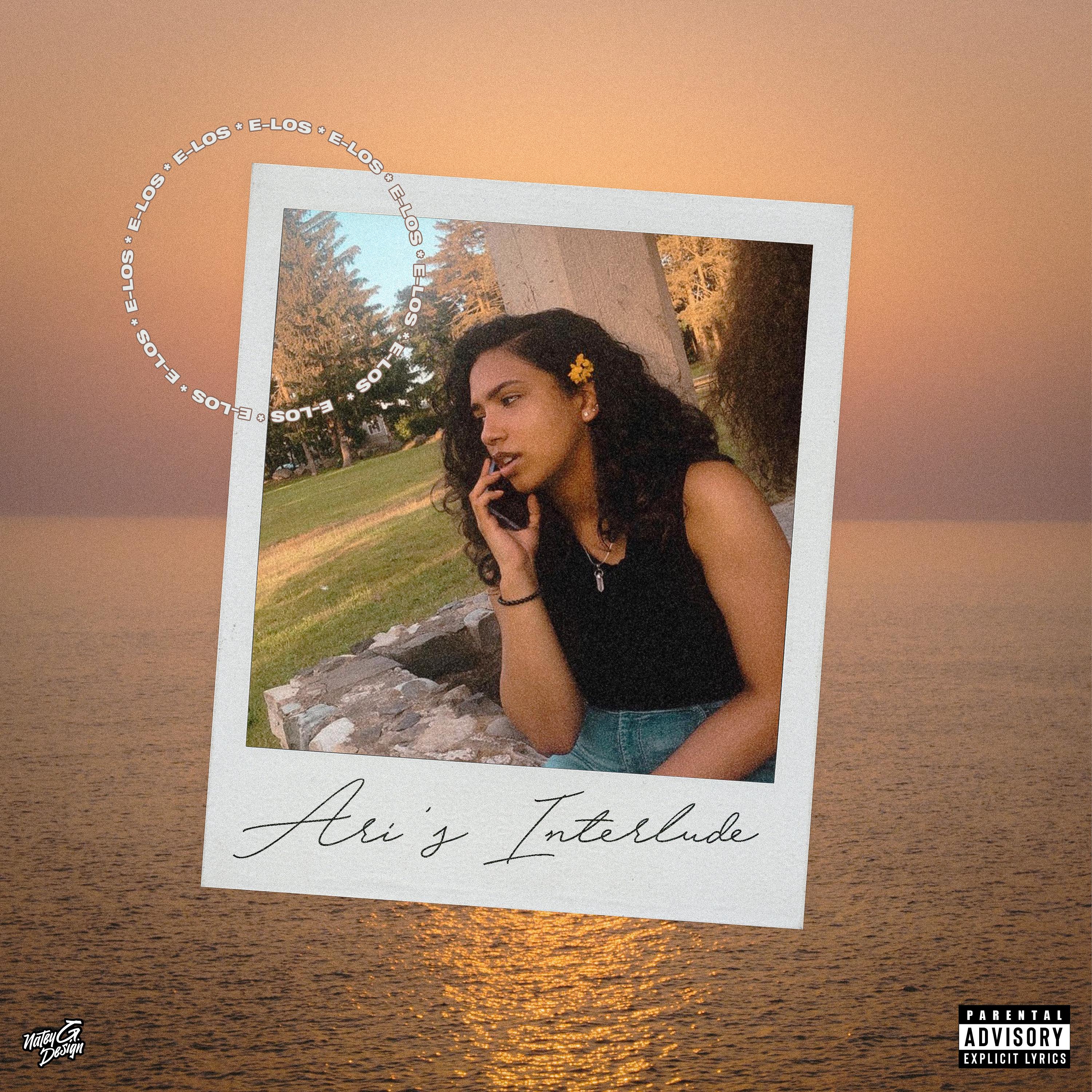 Ari's Interlude artwork