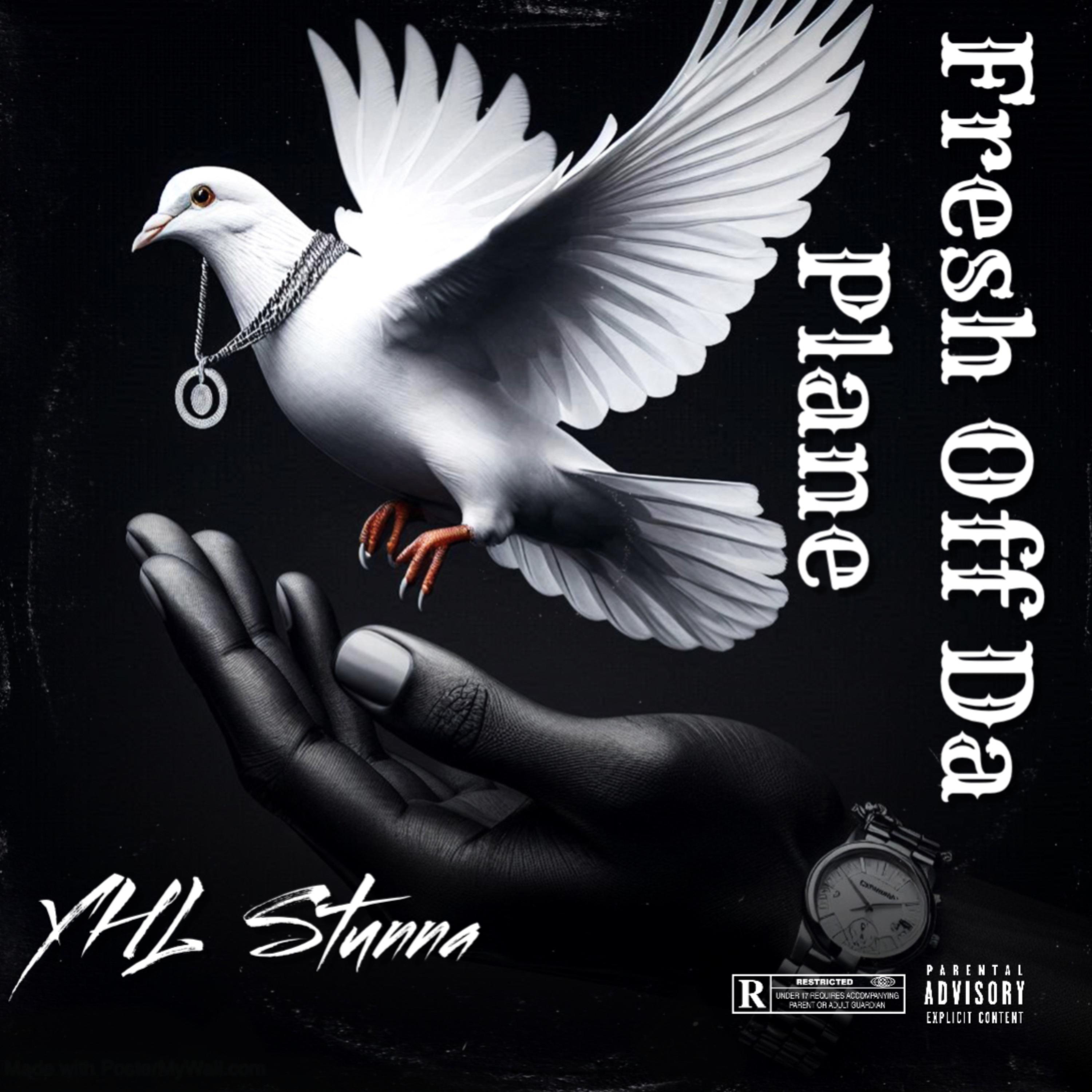 Fresh Off Da Plane artwork
