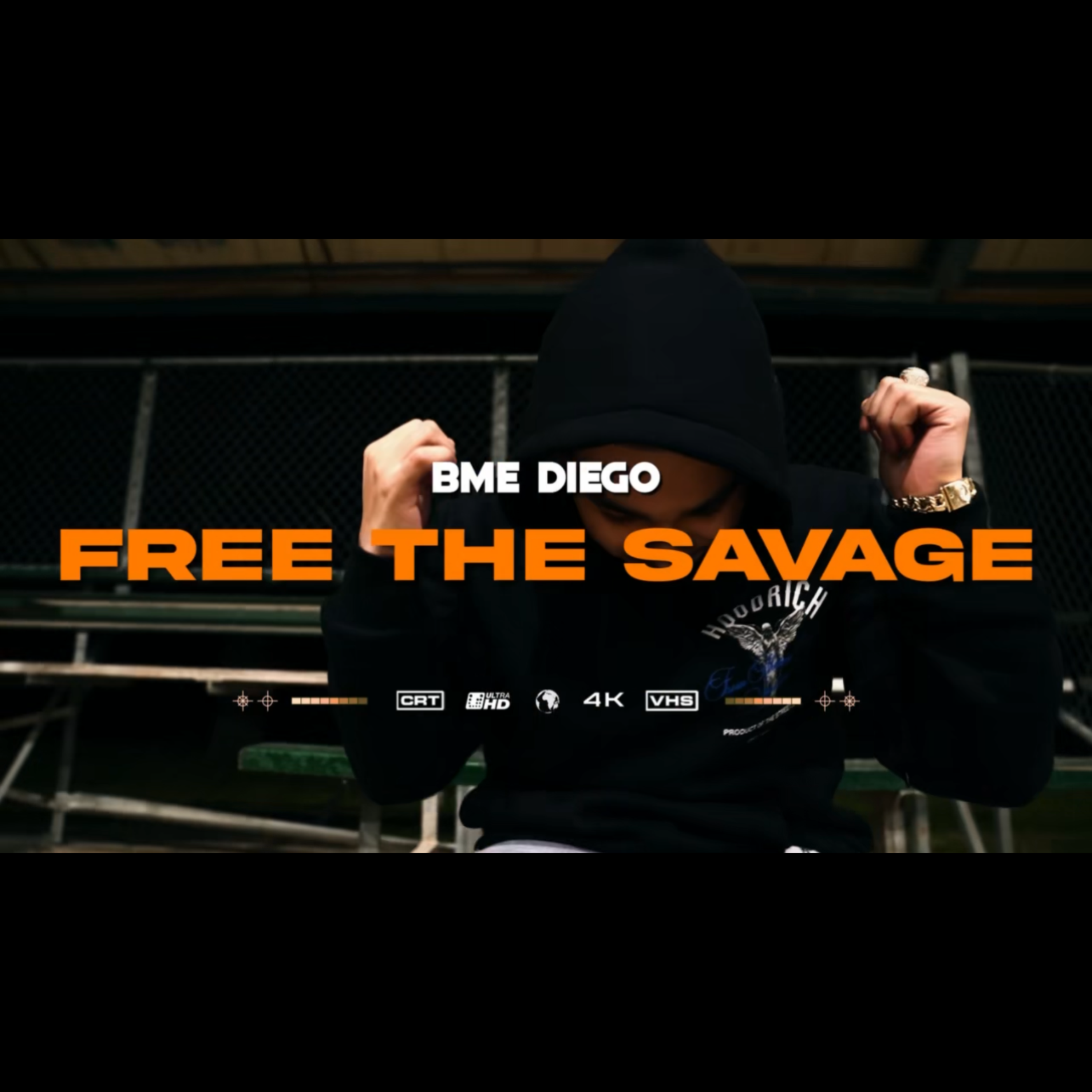Free The Savage artwork