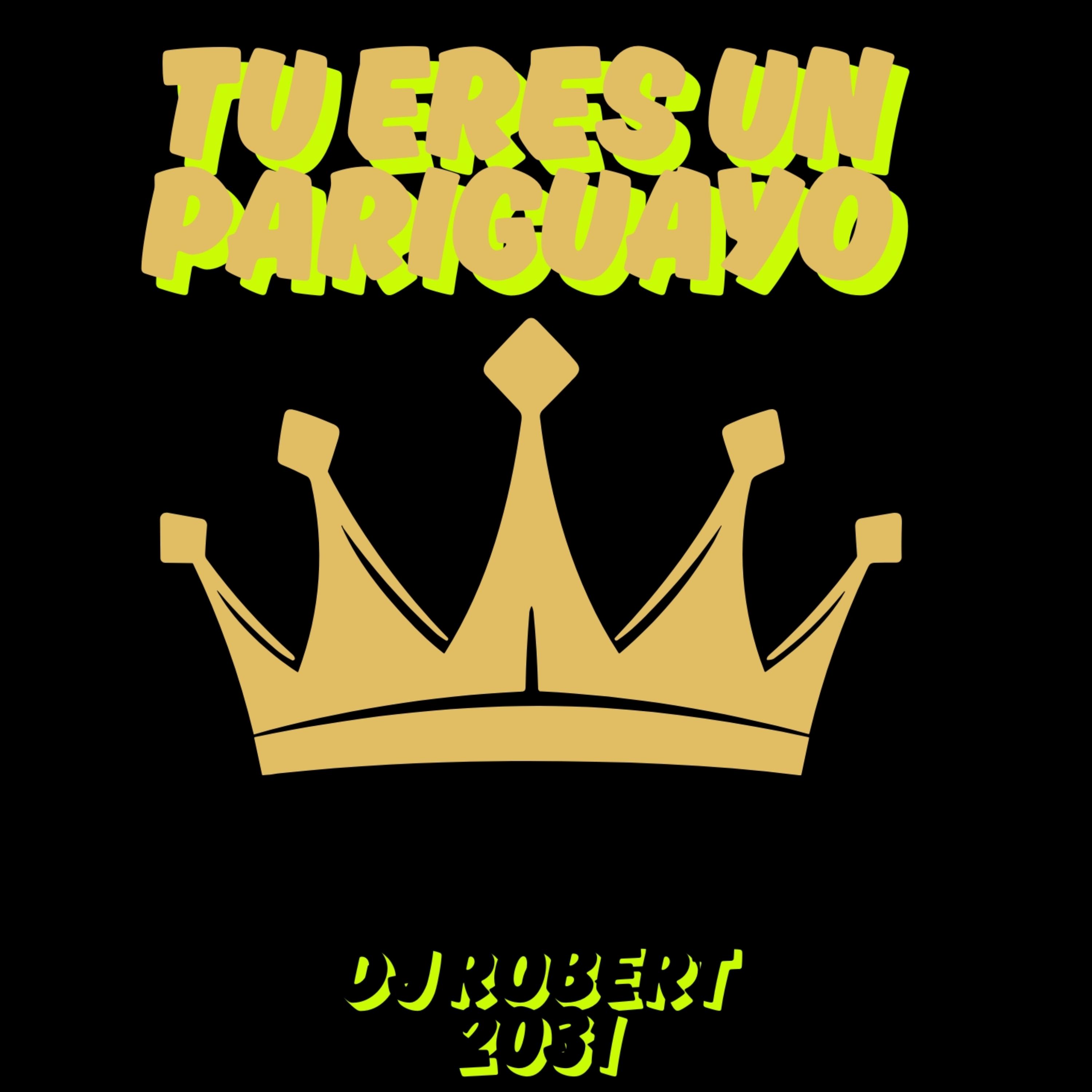 Tu Eres Un Pariguayo artwork