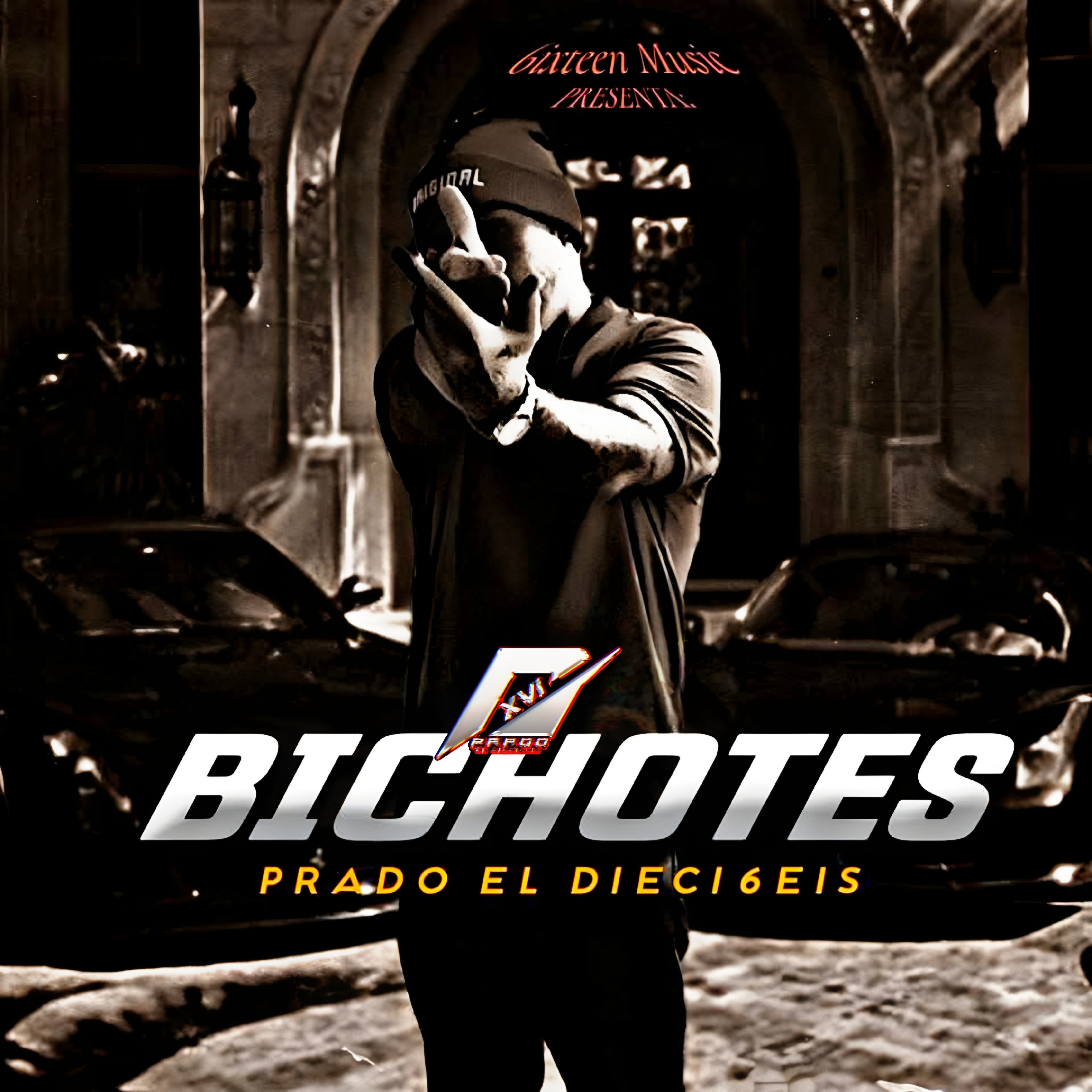 BICHOTES artwork