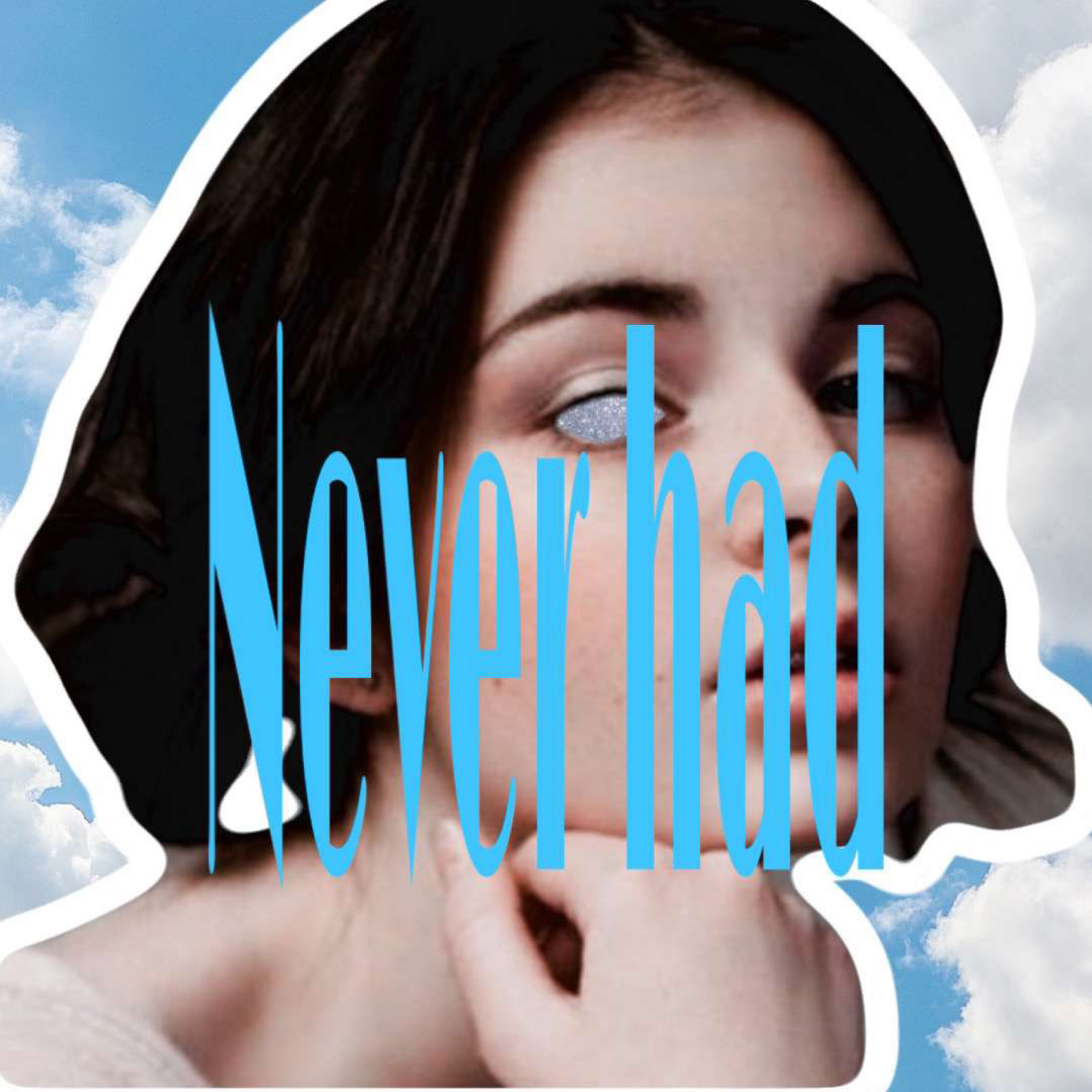Never Had artwork