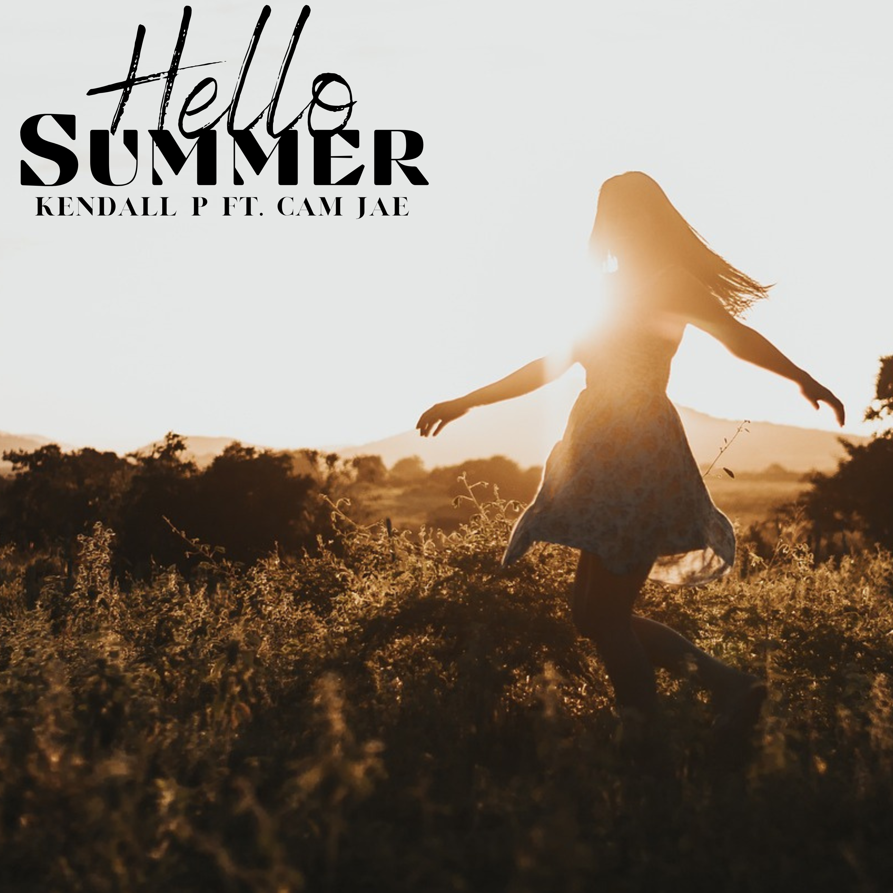 Hello Summer artwork