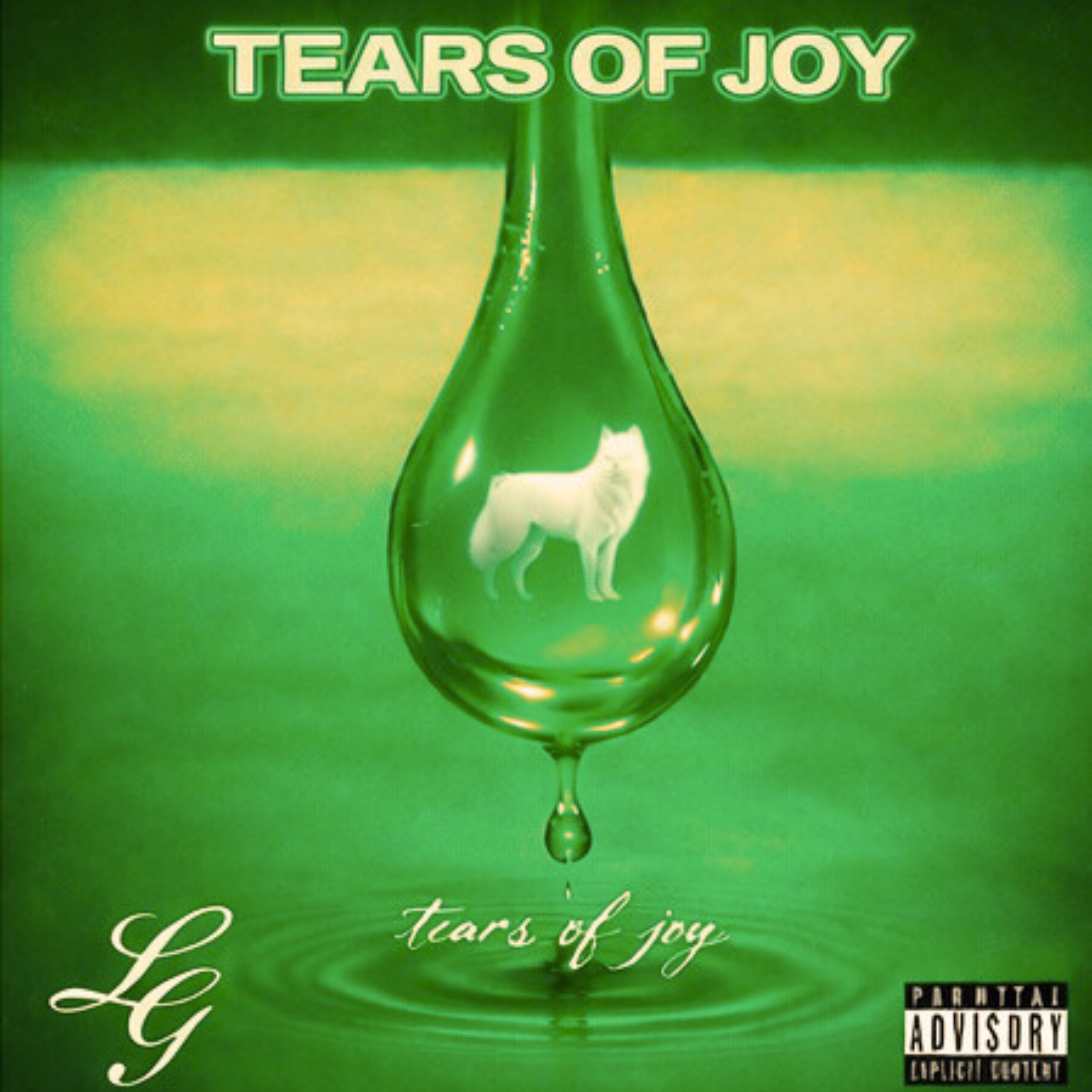 IDGAF artwork