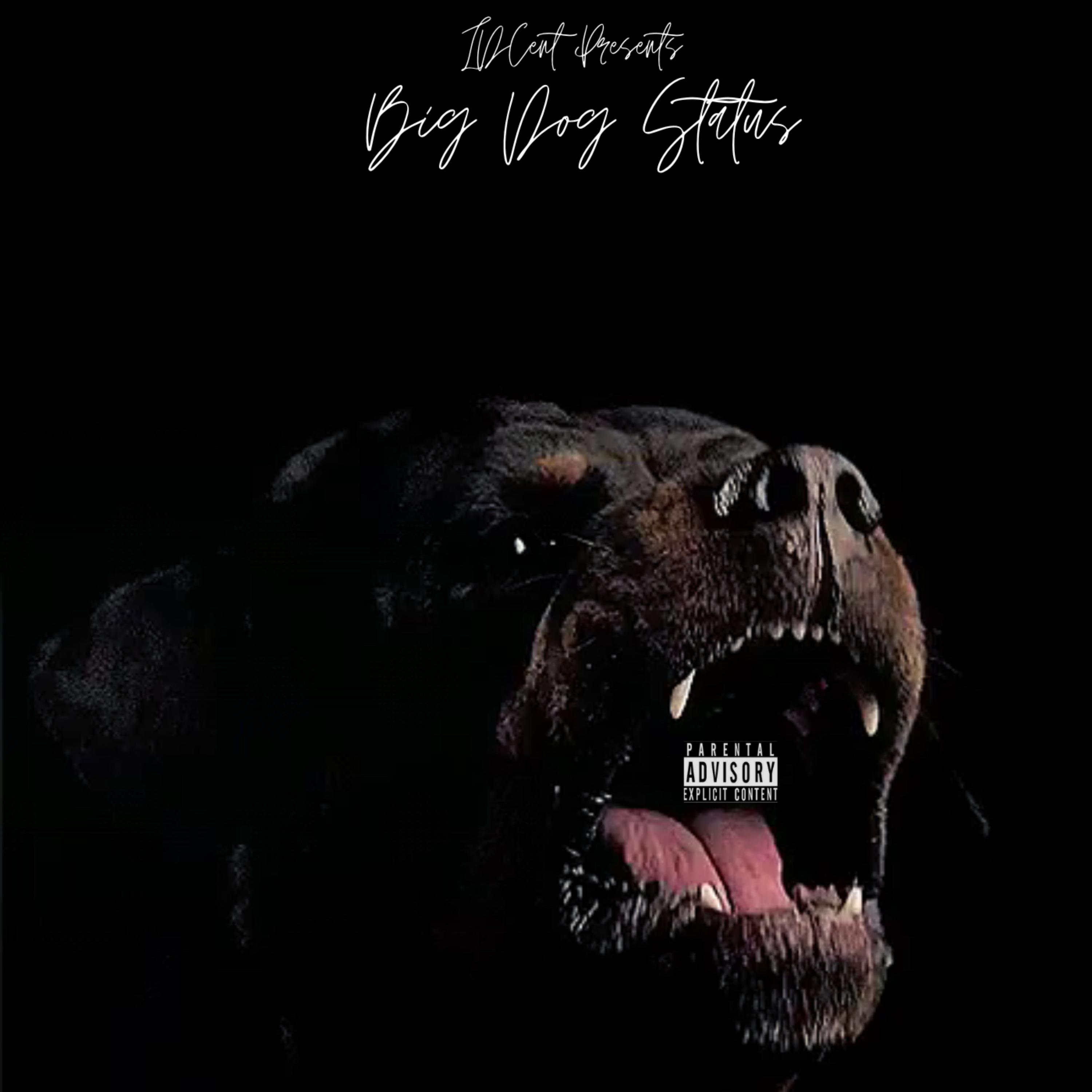 Big Dog Status artwork