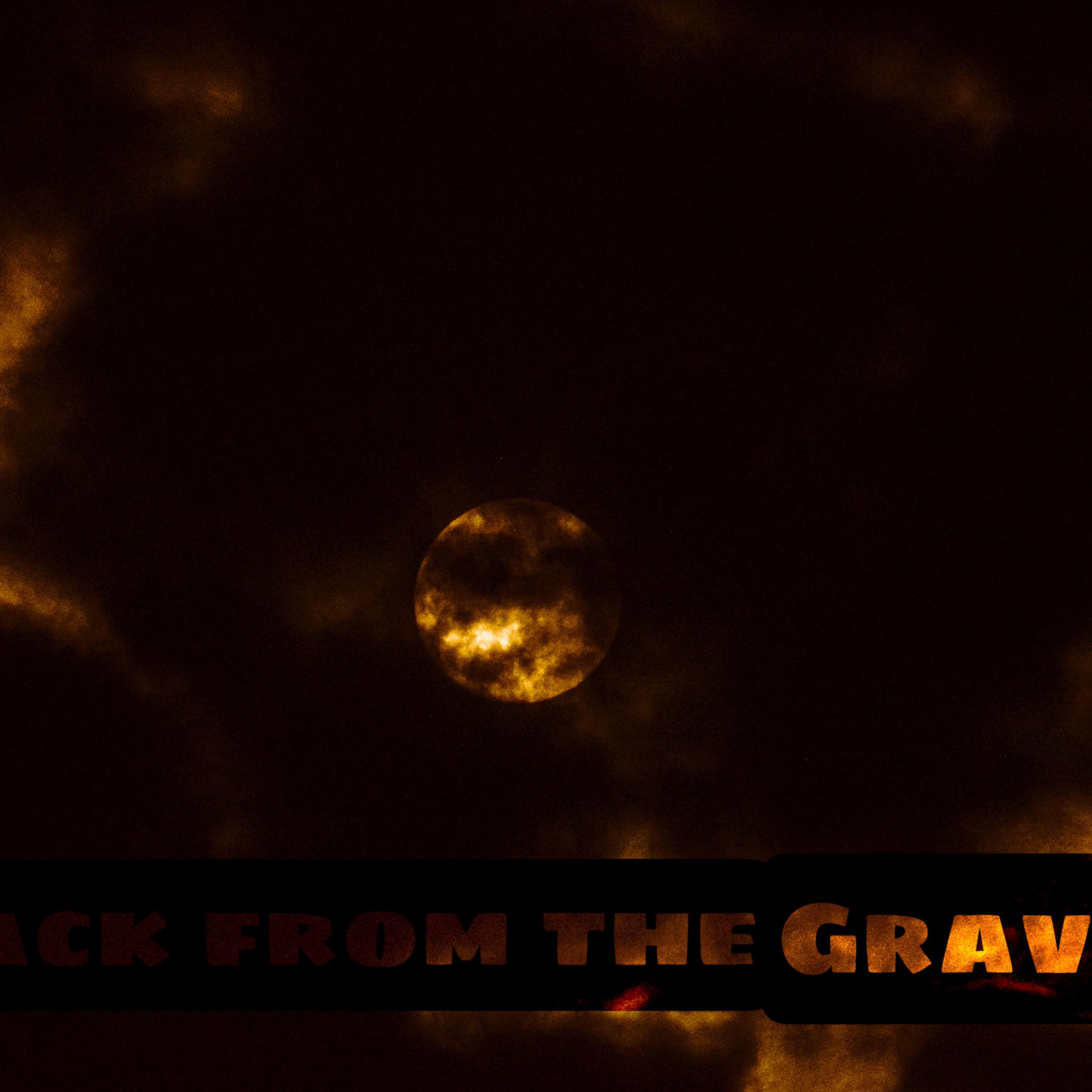 Back From The Grave artwork