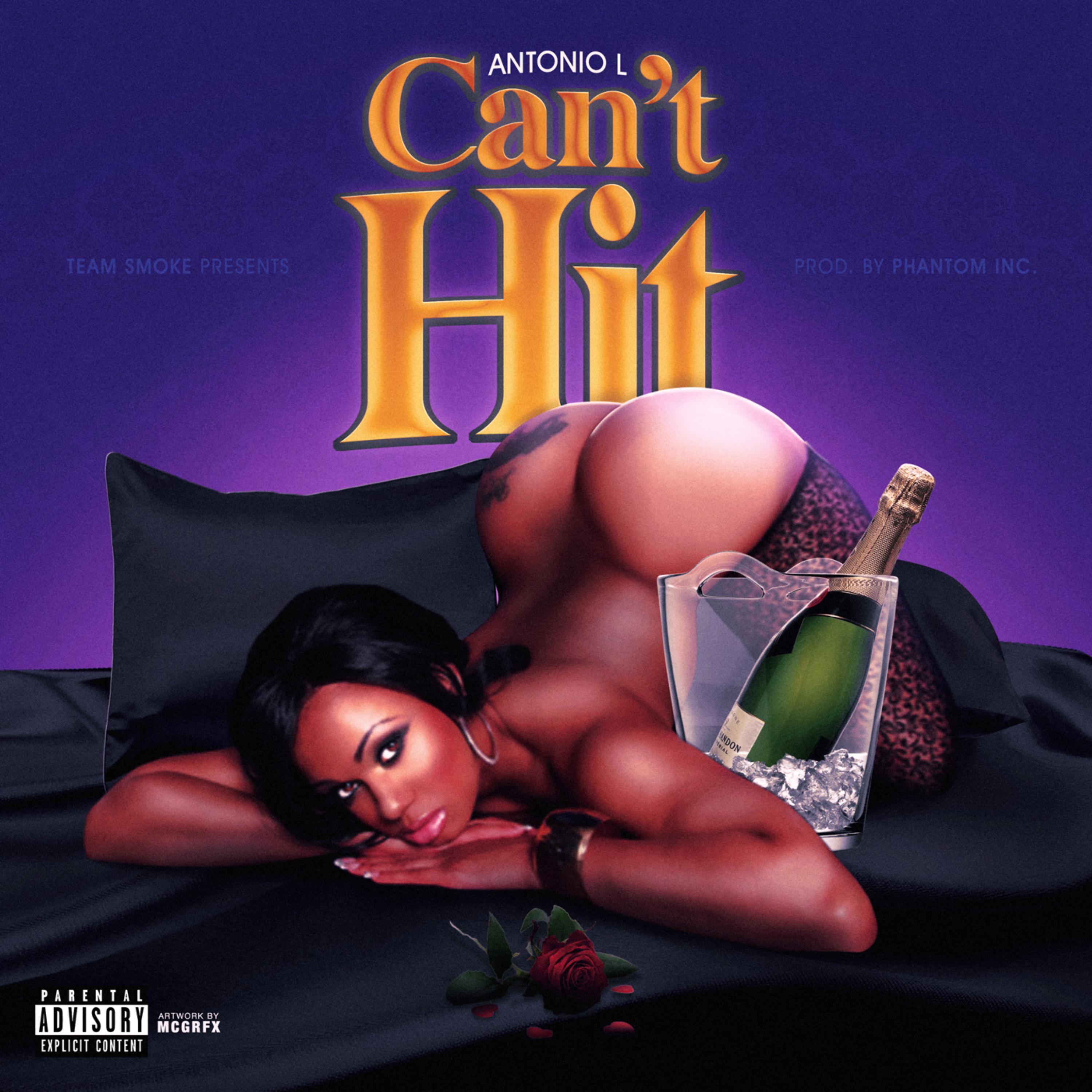 Can't Hit artwork