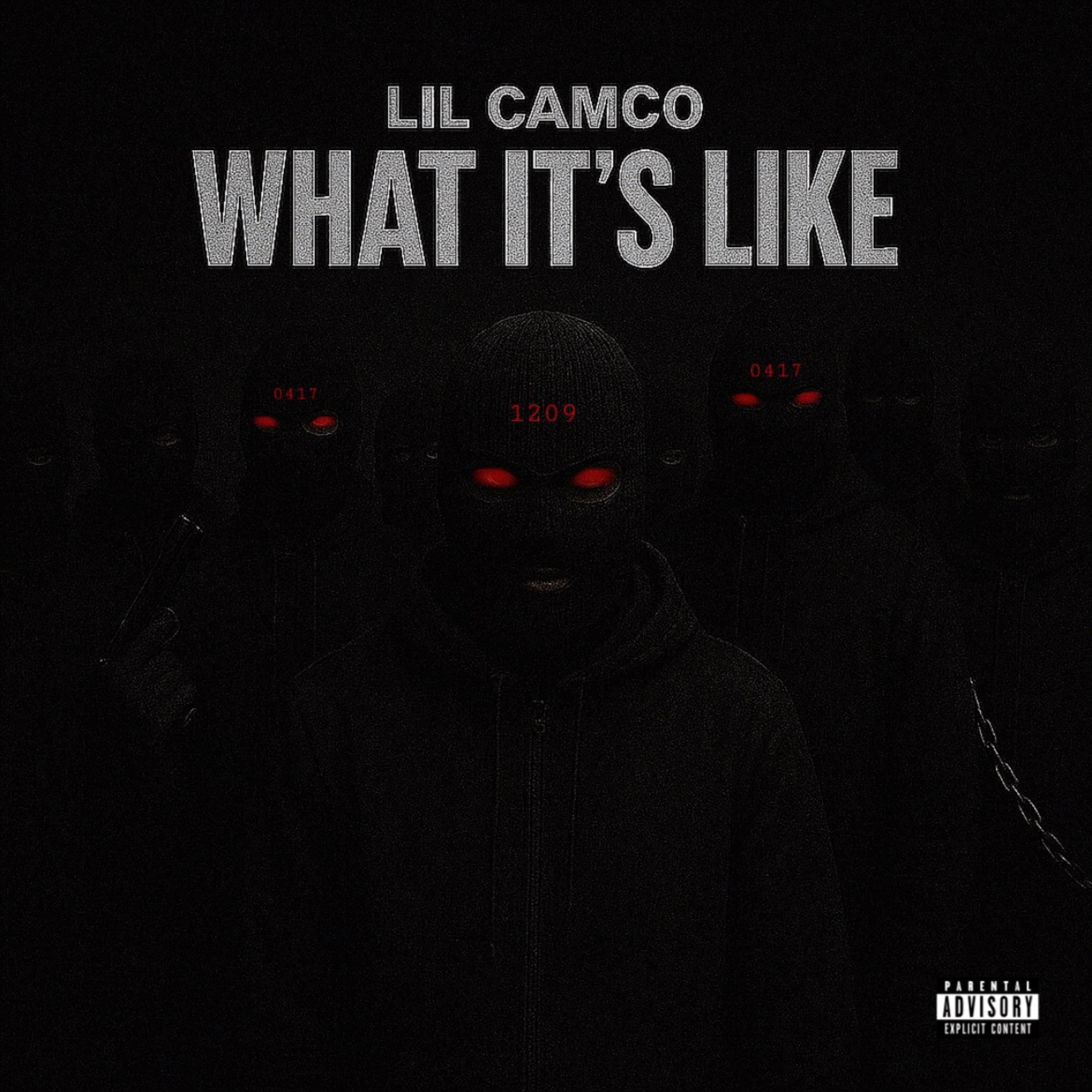 What It’s Like by Lil Camco cover art