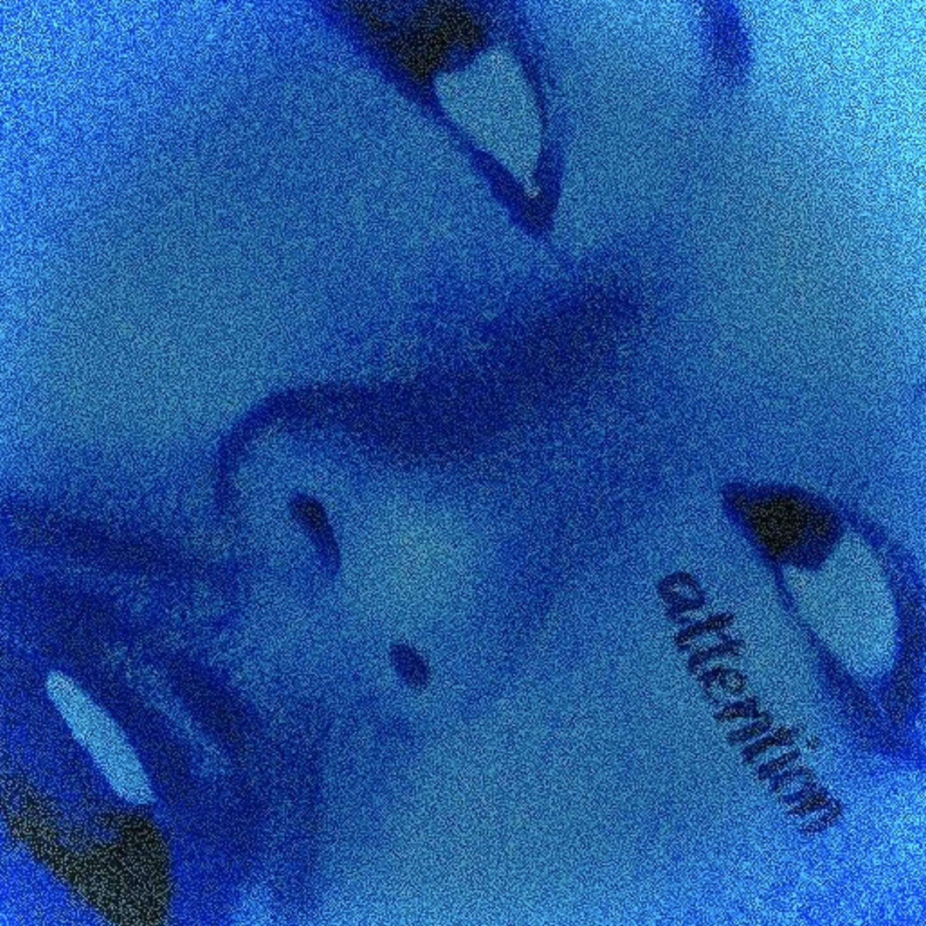 Attention by Roland Tamez cover art