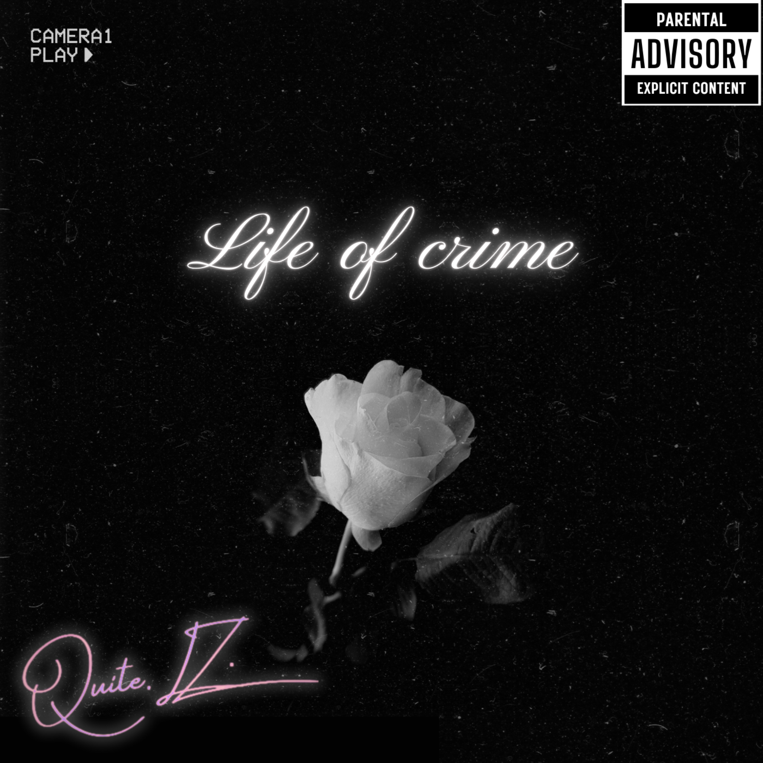 LIFE OF CRIME artwork