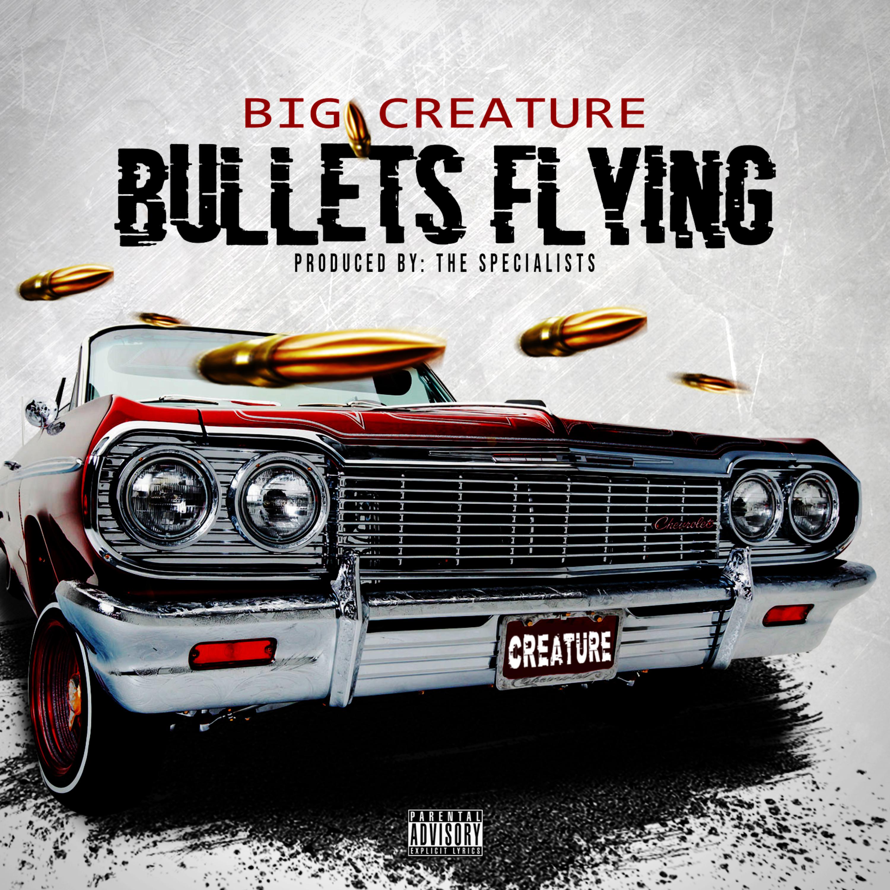 Bullets Flying artwork