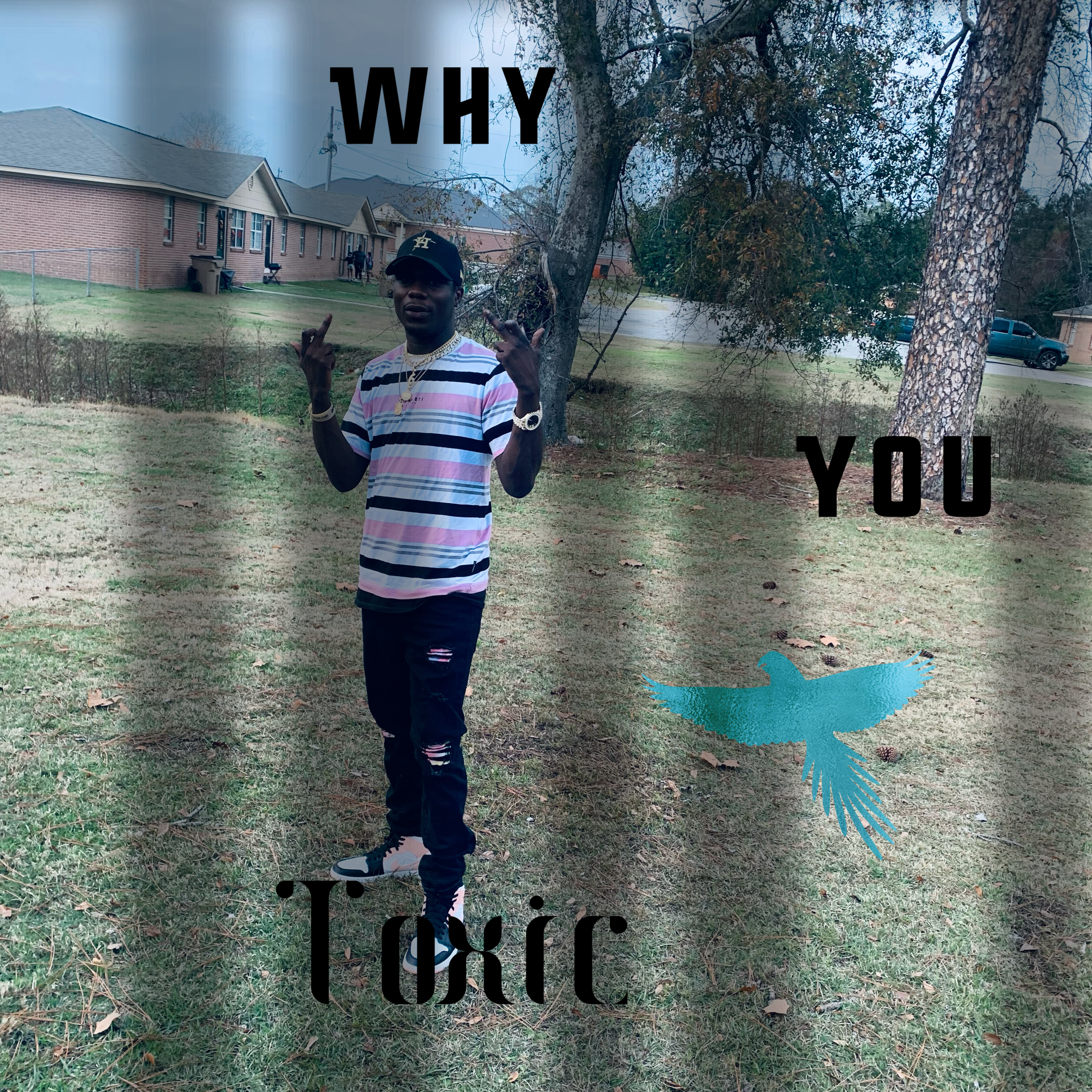 Why U Toxic artwork