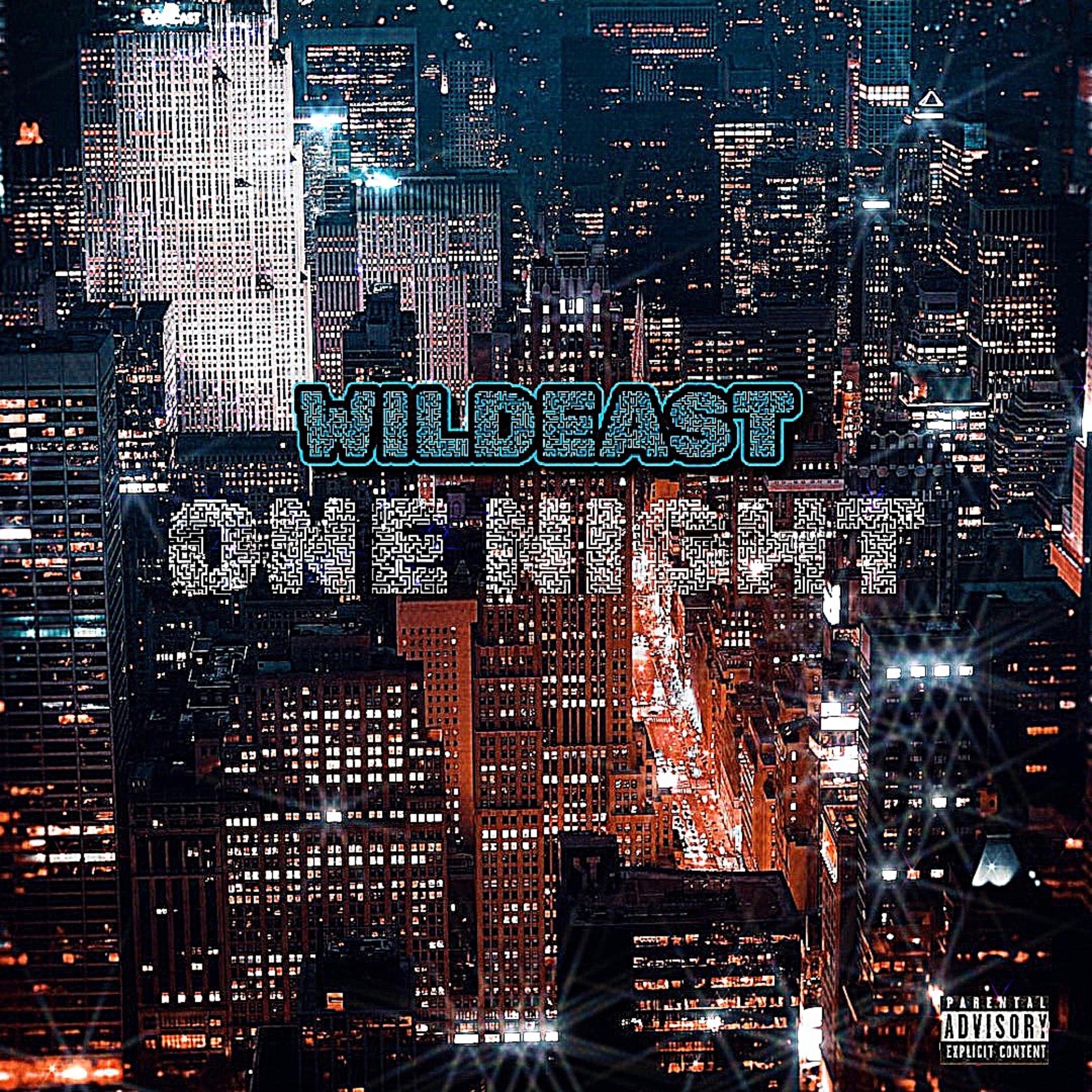 One Night by Wildeast cover art