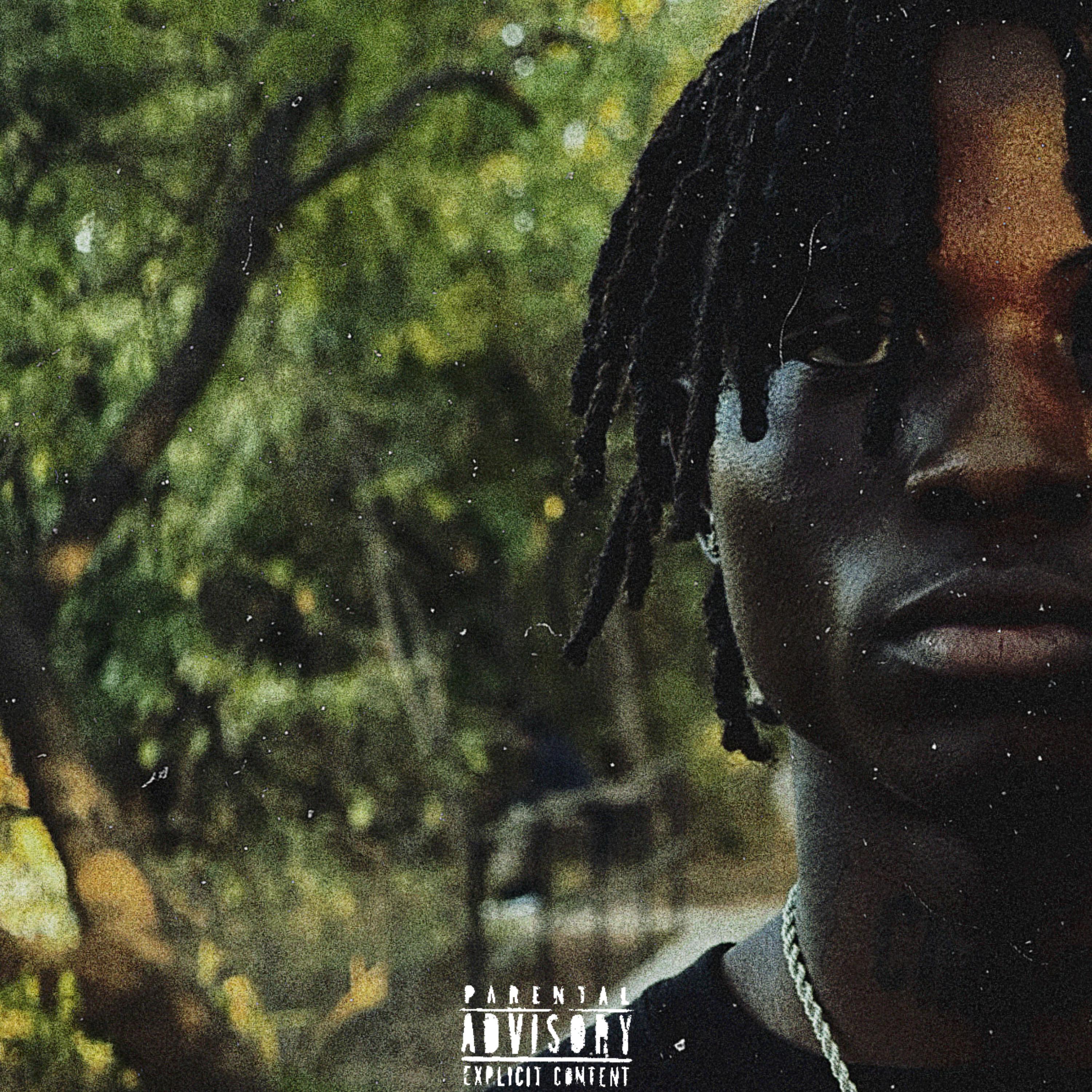 50 Days / 50 Nights artwork