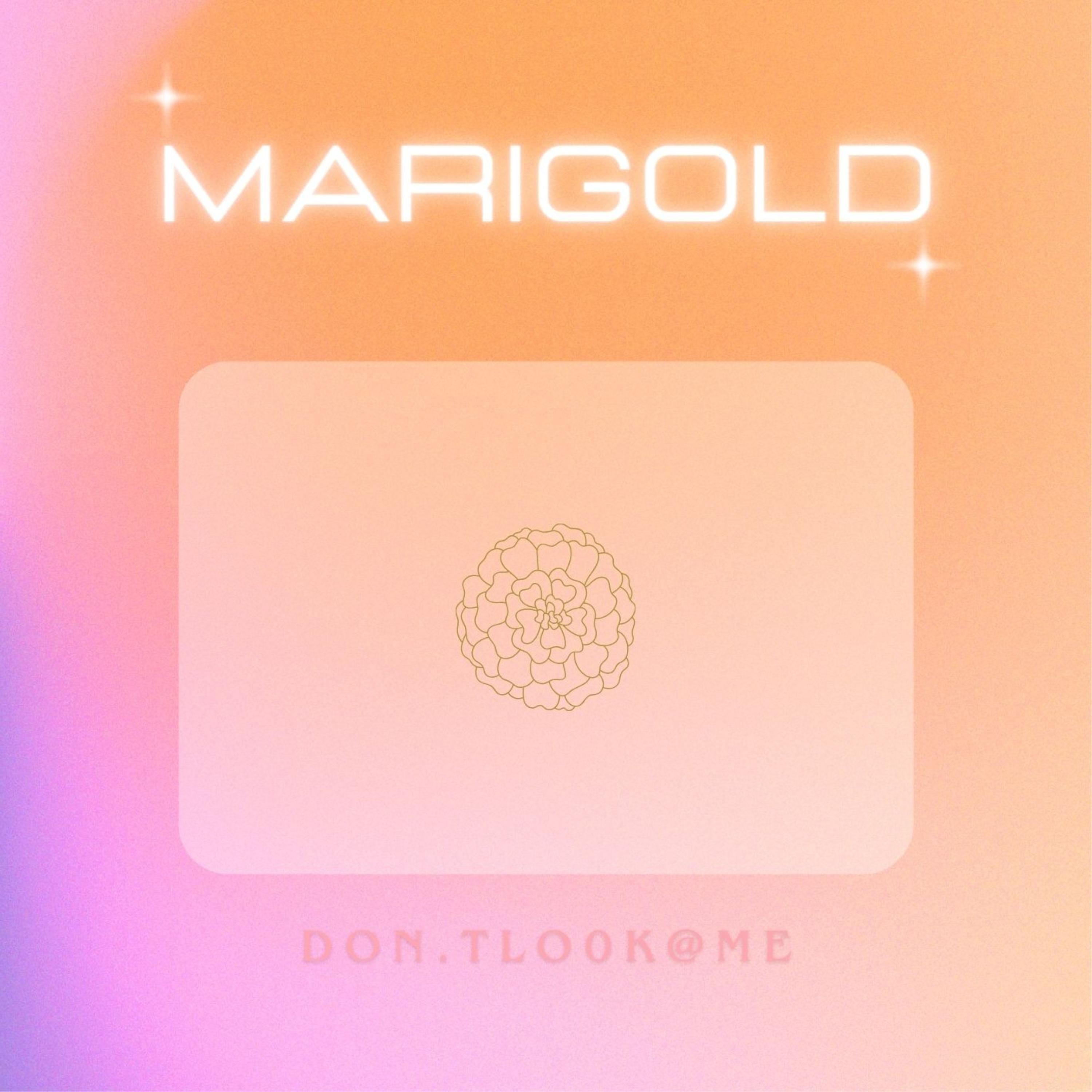 MariGold artwork