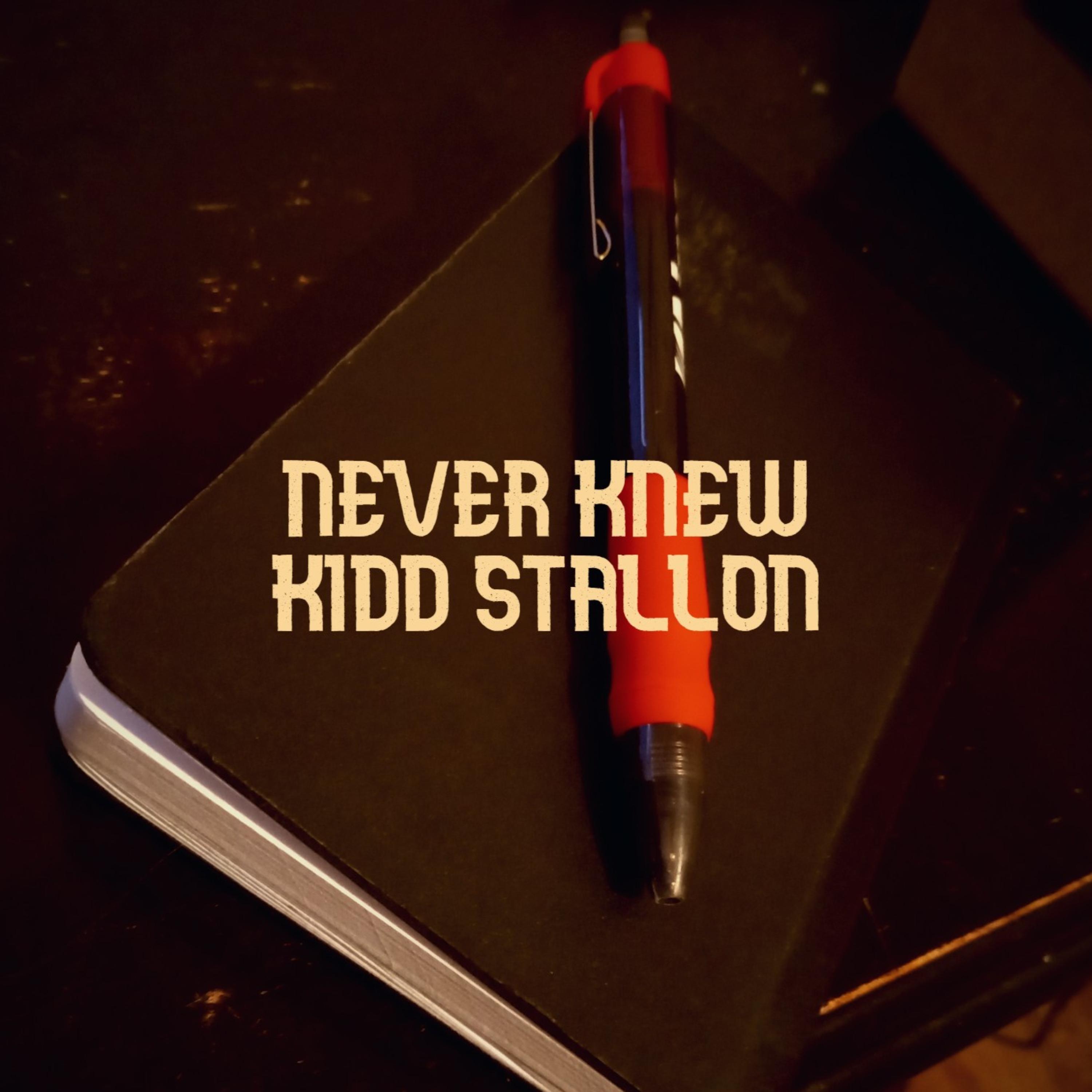 Never Knew artwork