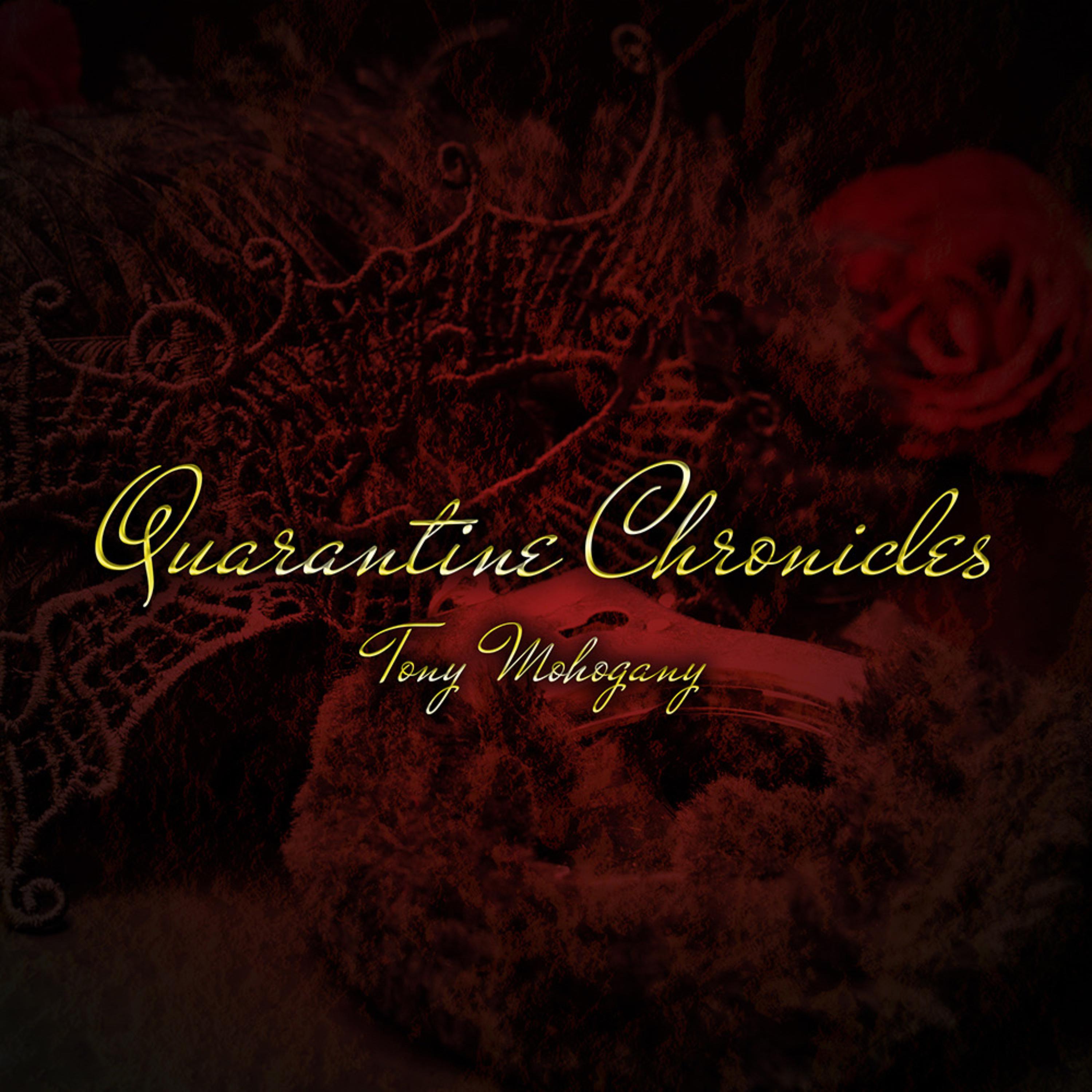 The Quarantine Chronicles artwork