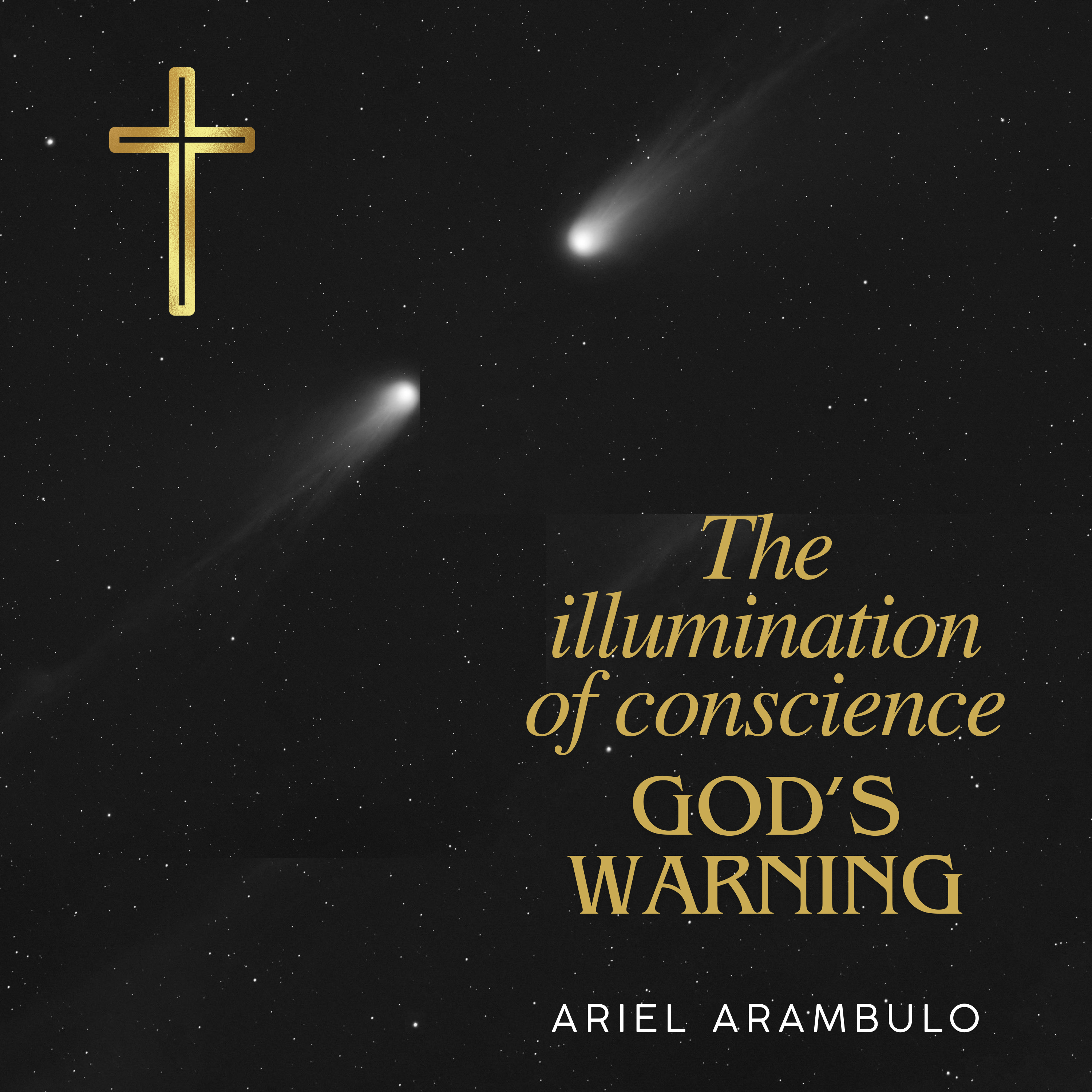 GOD's WARNING - The illumination of conscience artwork