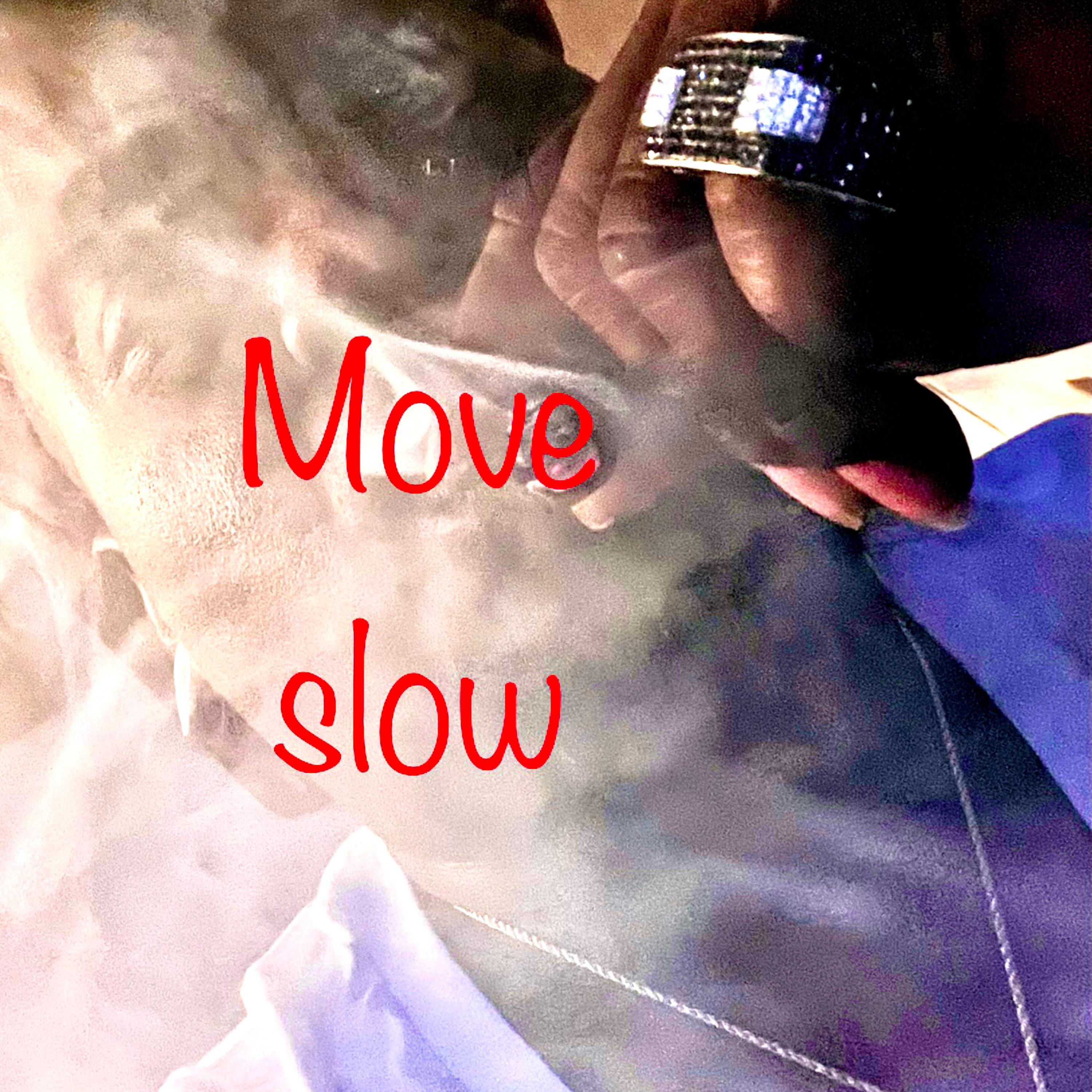 Move Slow artwork