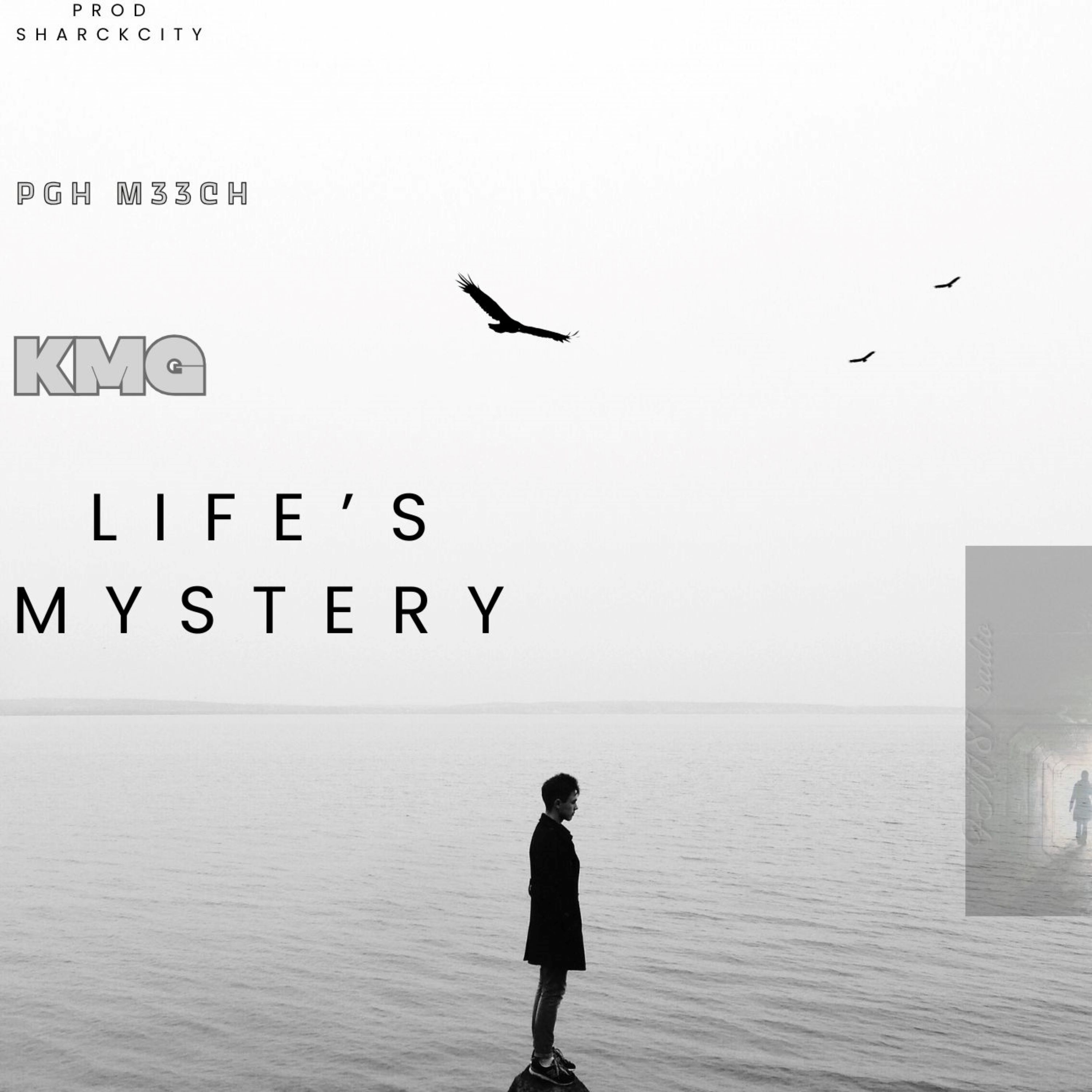 Life’s Mystery artwork