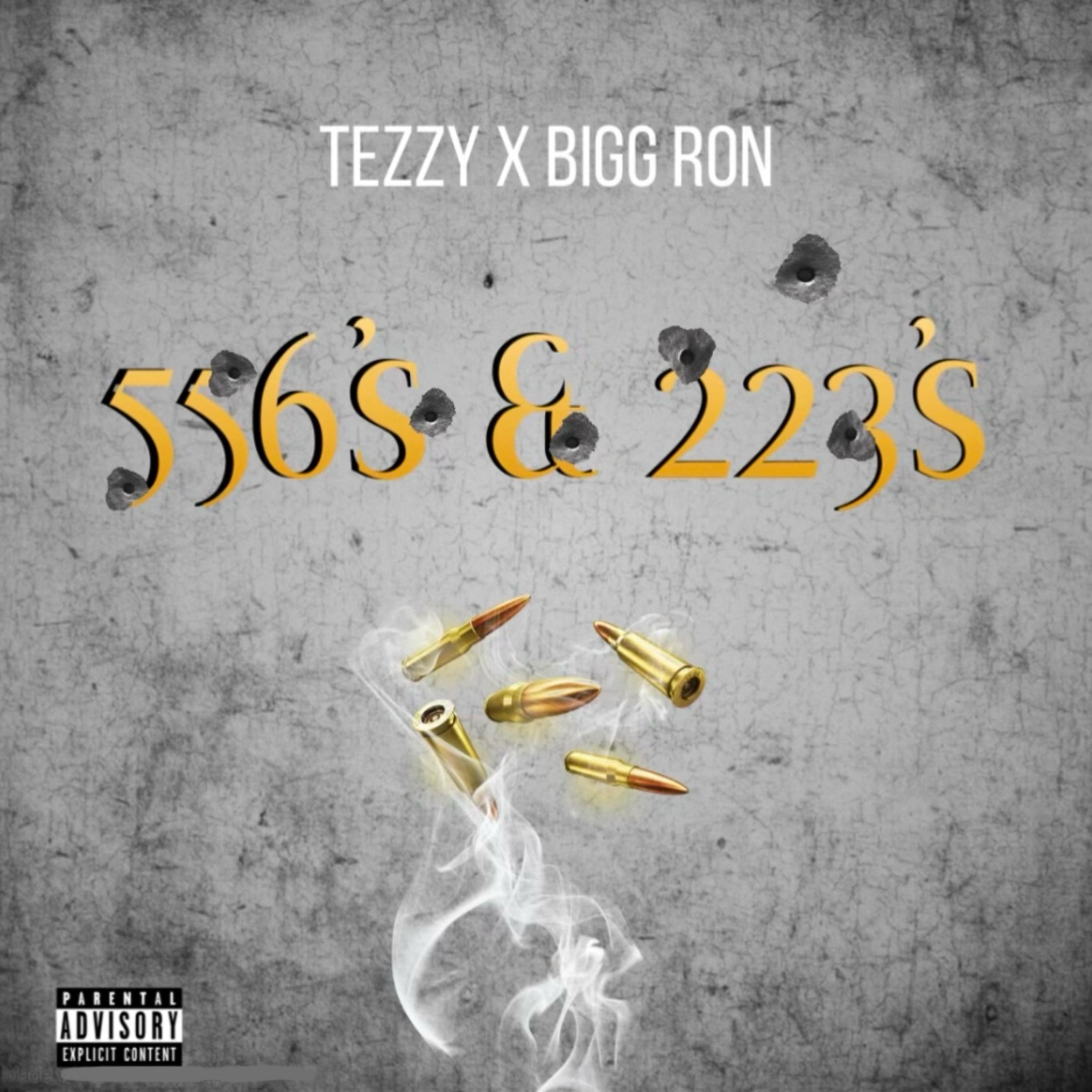 556's & 223's artwork