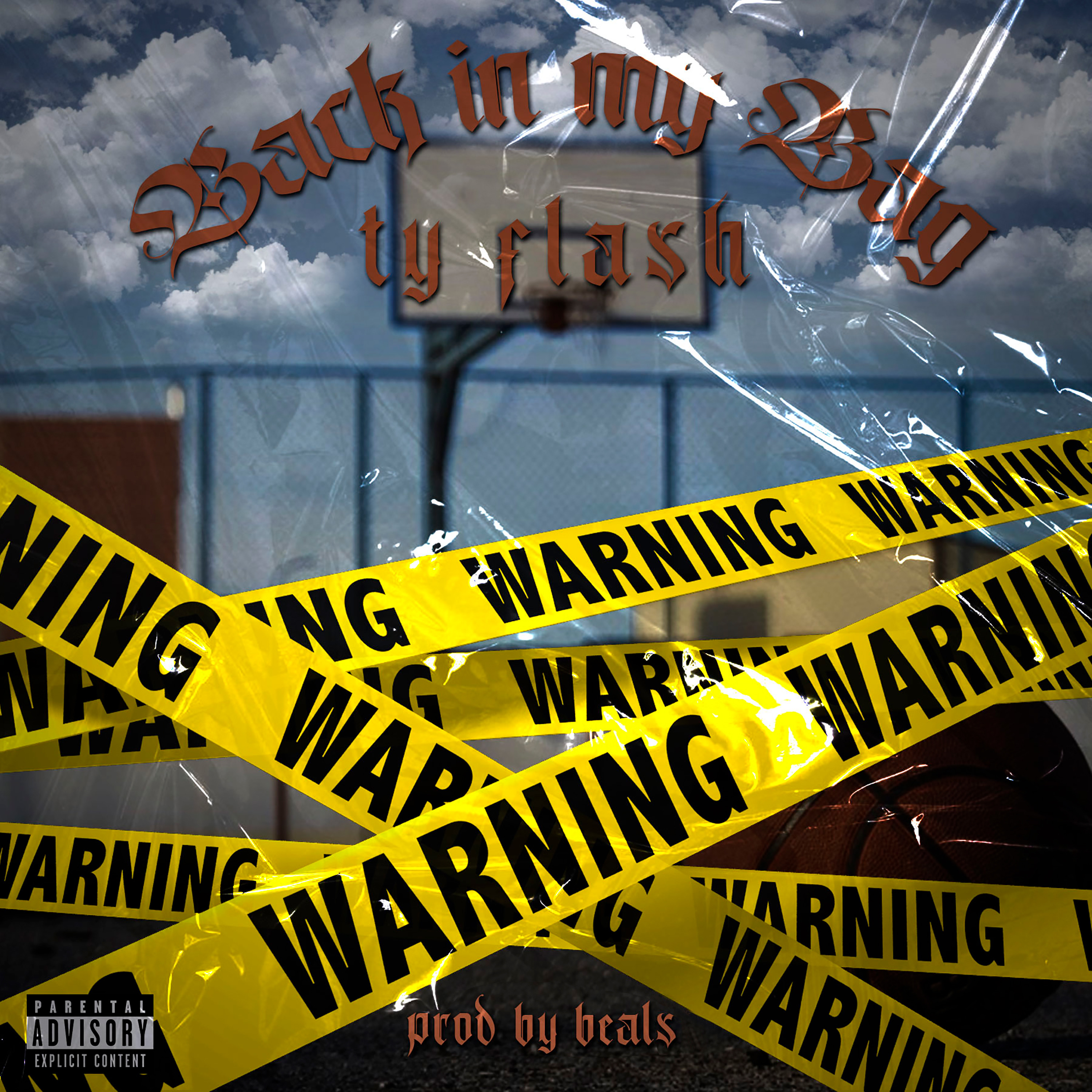 Back In My Bag by Ty Flash cover art