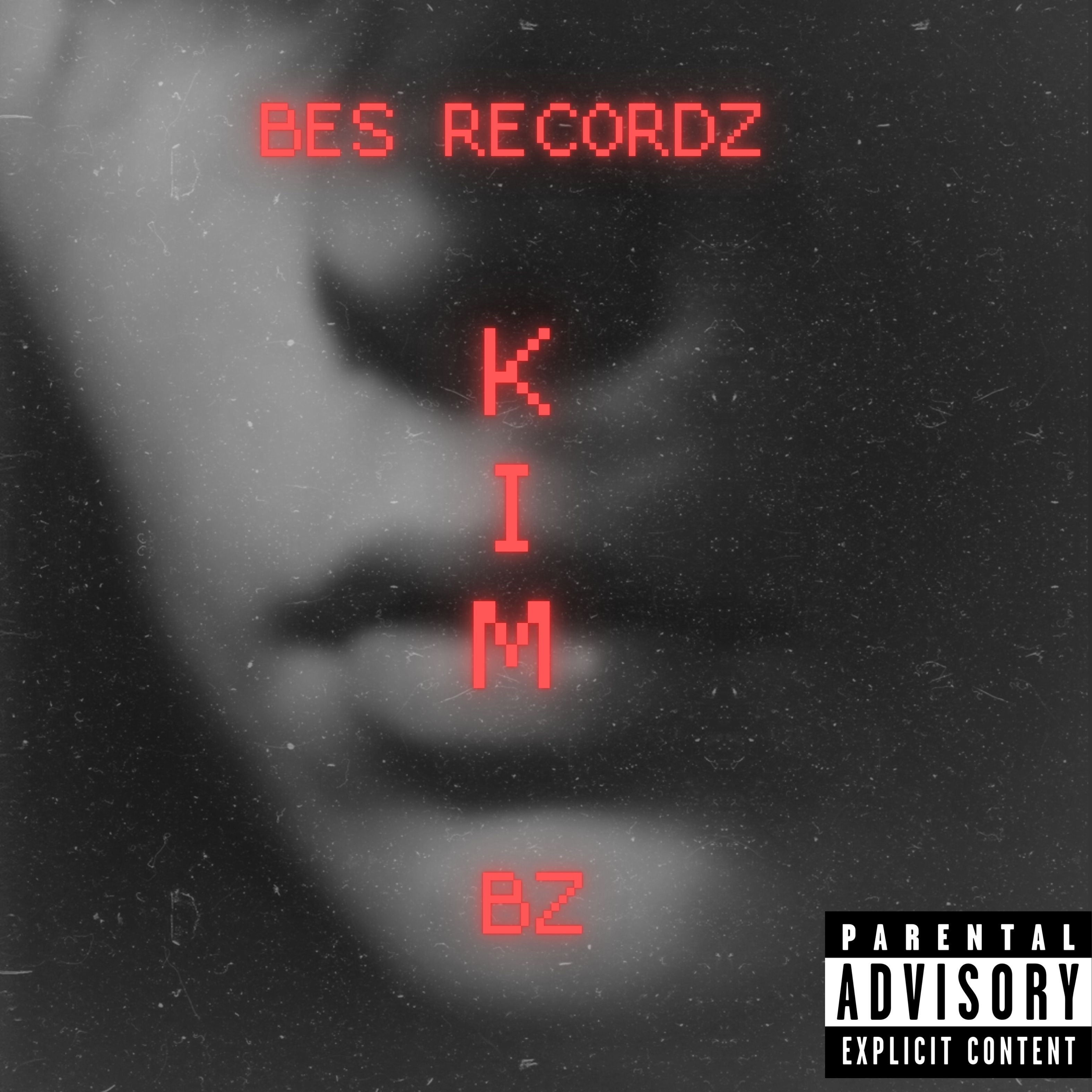 KIM artwork
