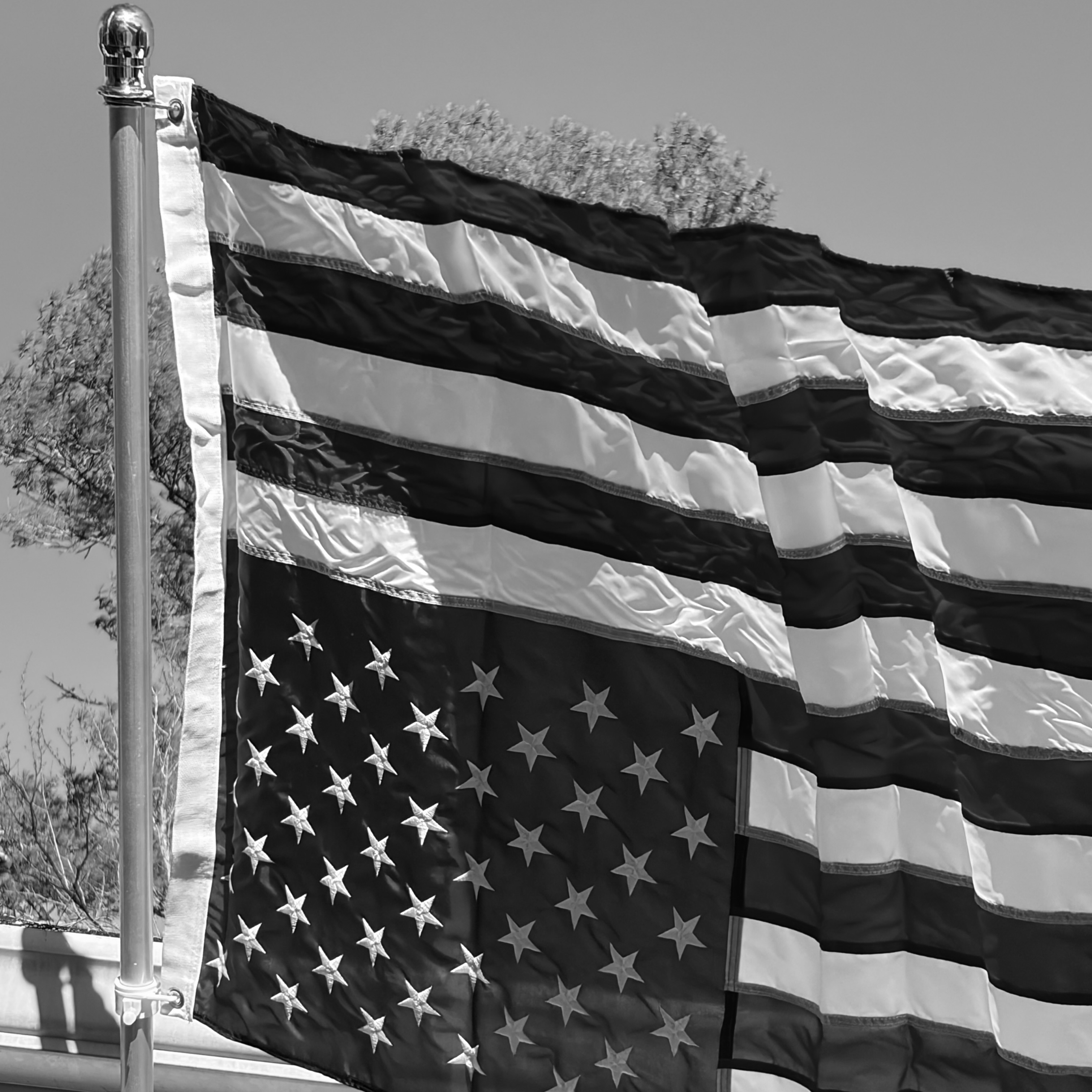 AMERICAN artwork