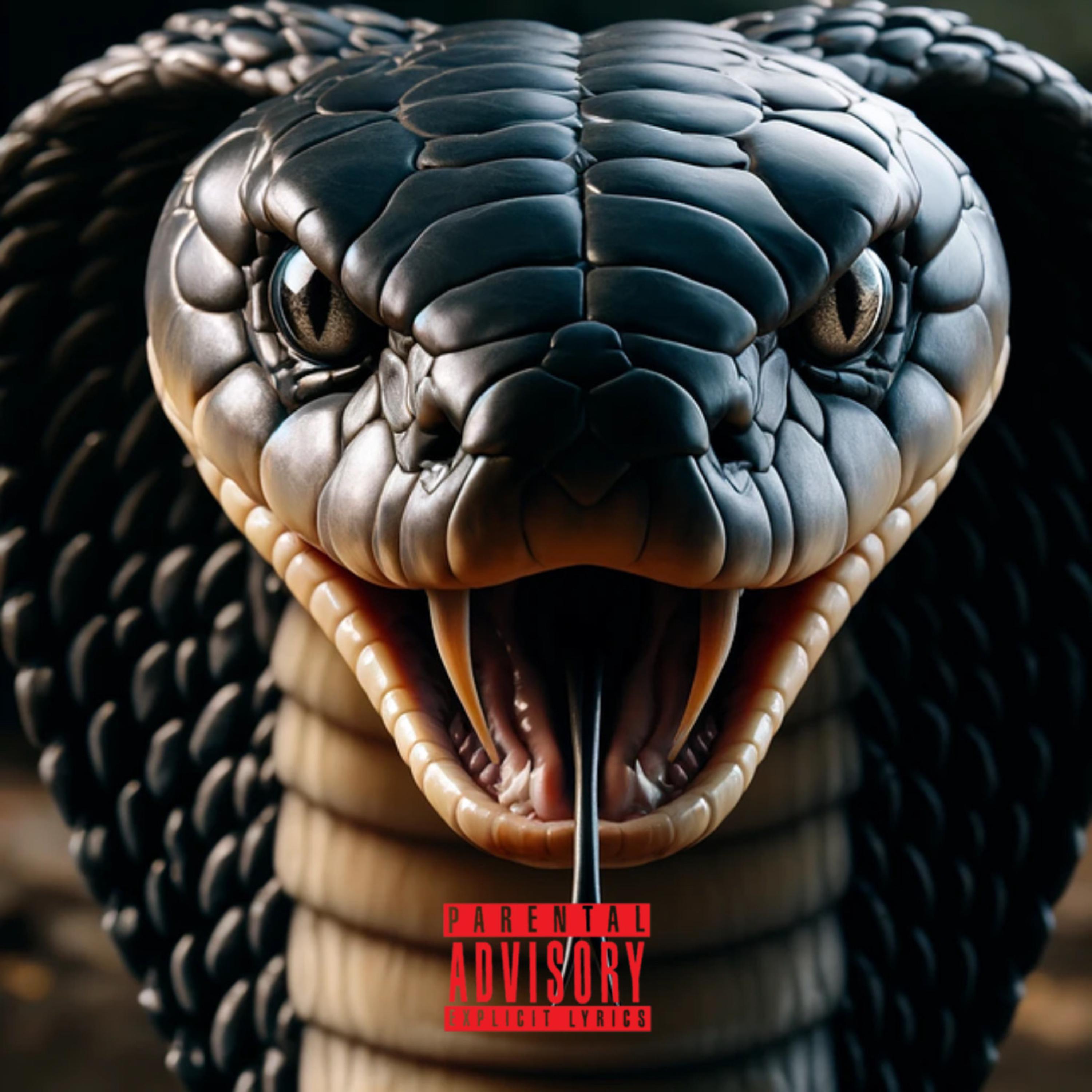 SNAKE! artwork