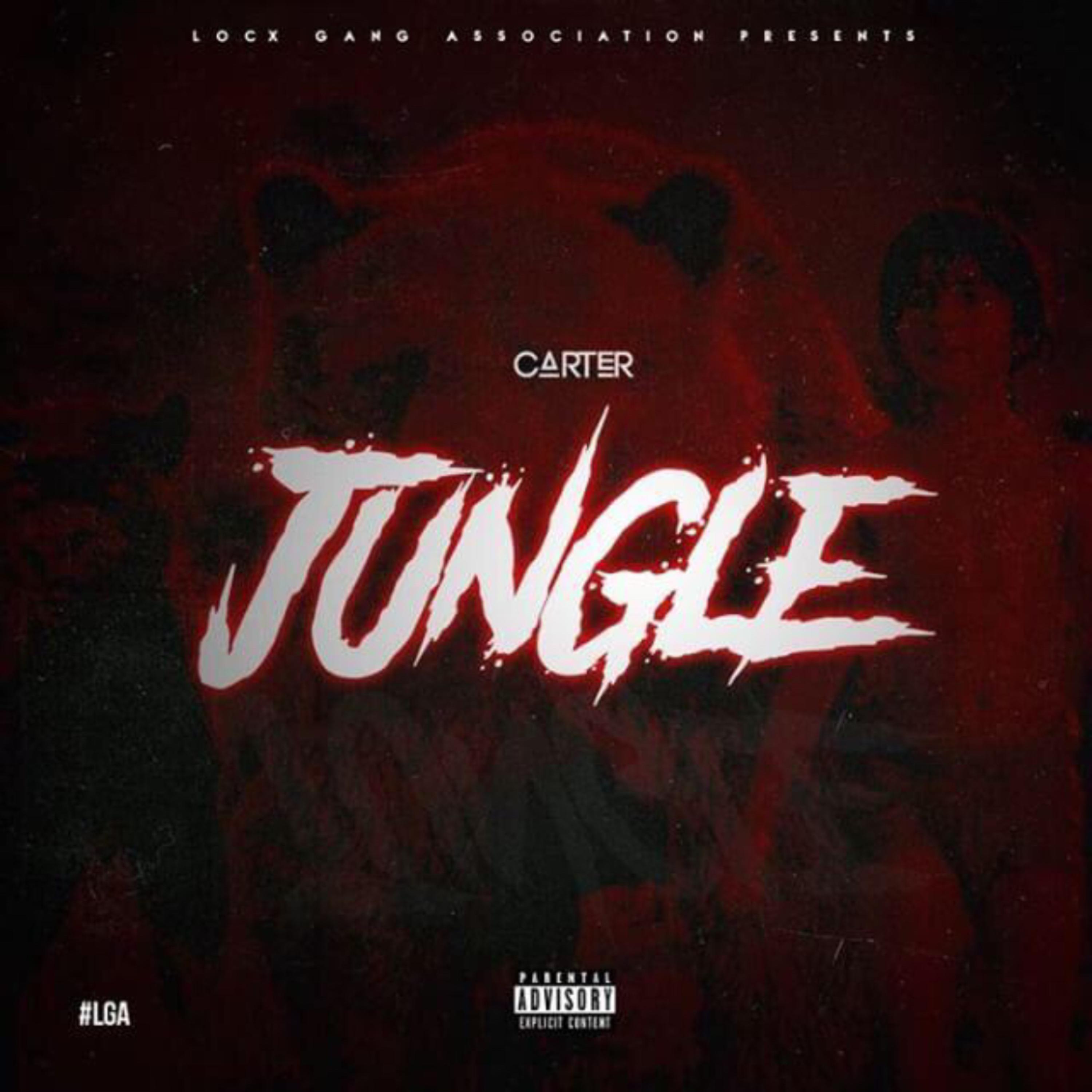 Jungle Freestyle artwork