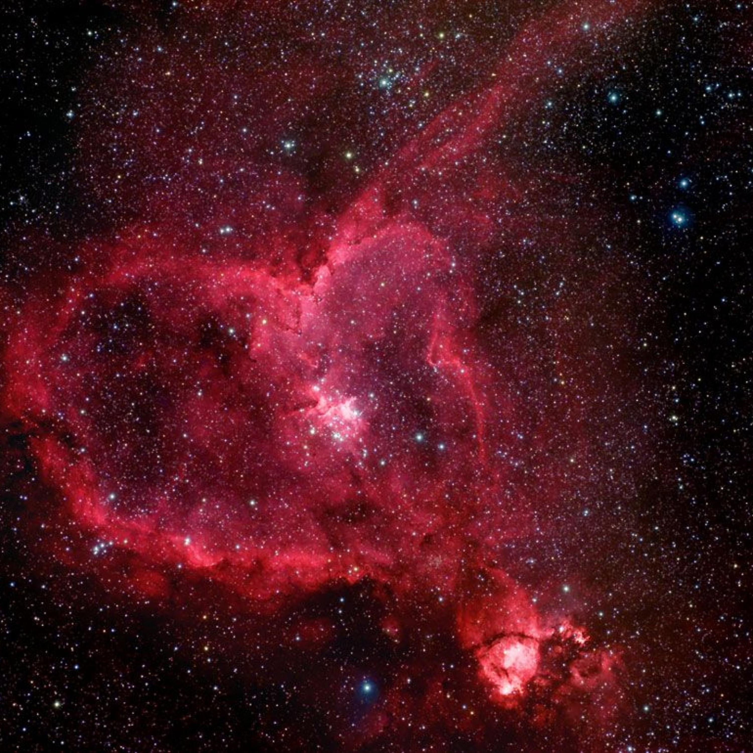 Double Chanel artwork