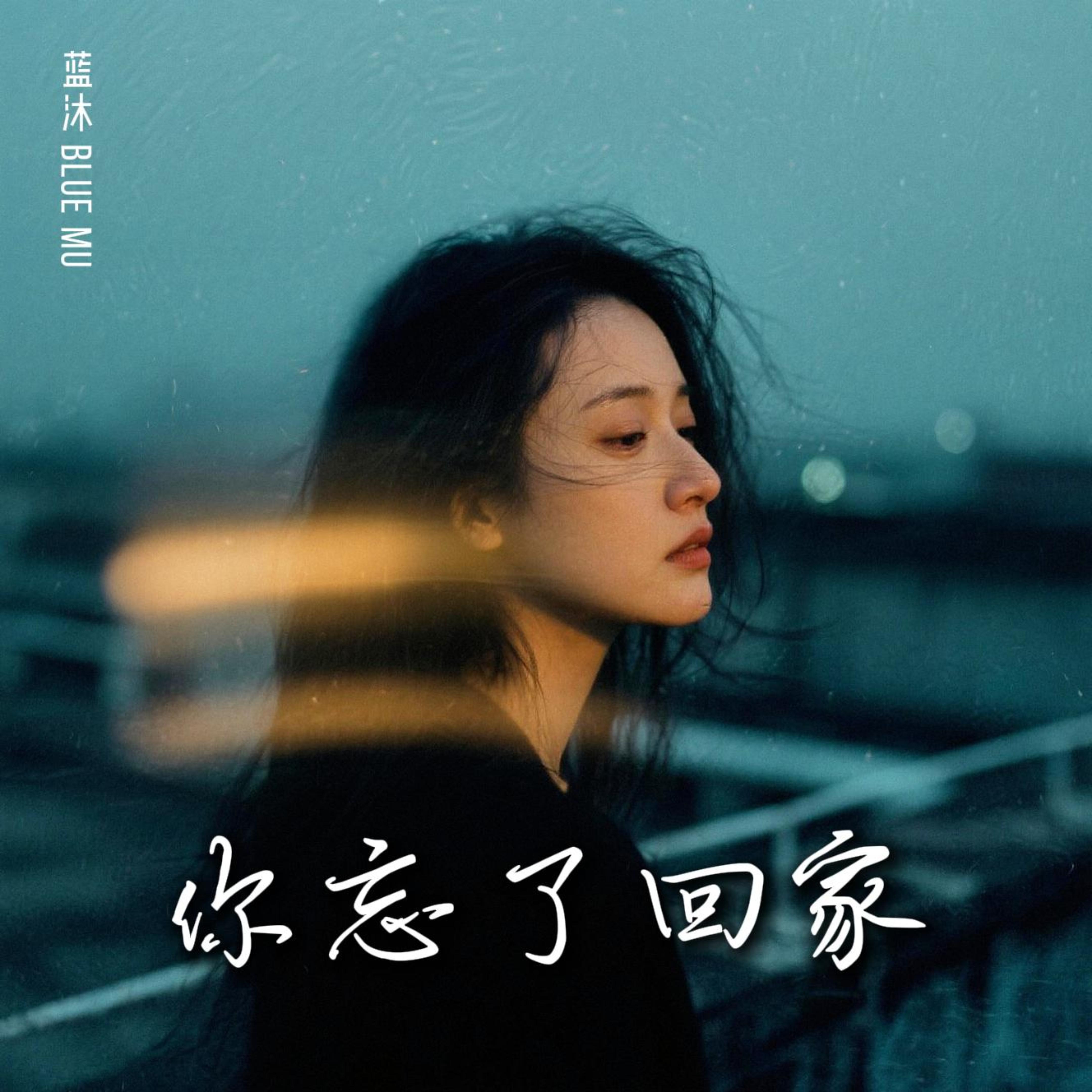 你忘了回家 by 蓝沐 Blue Mu cover art