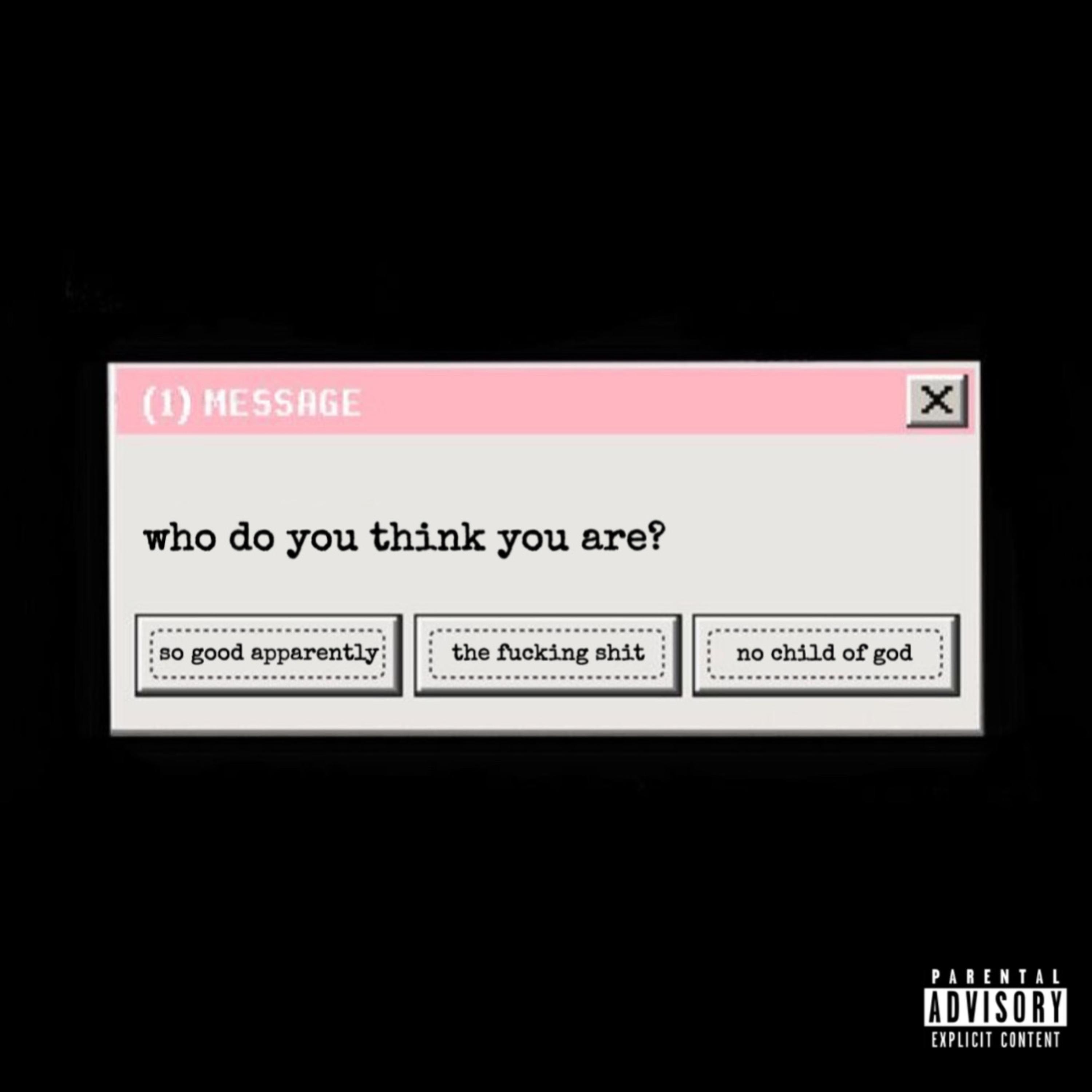 Who Do You Think You Are? artwork