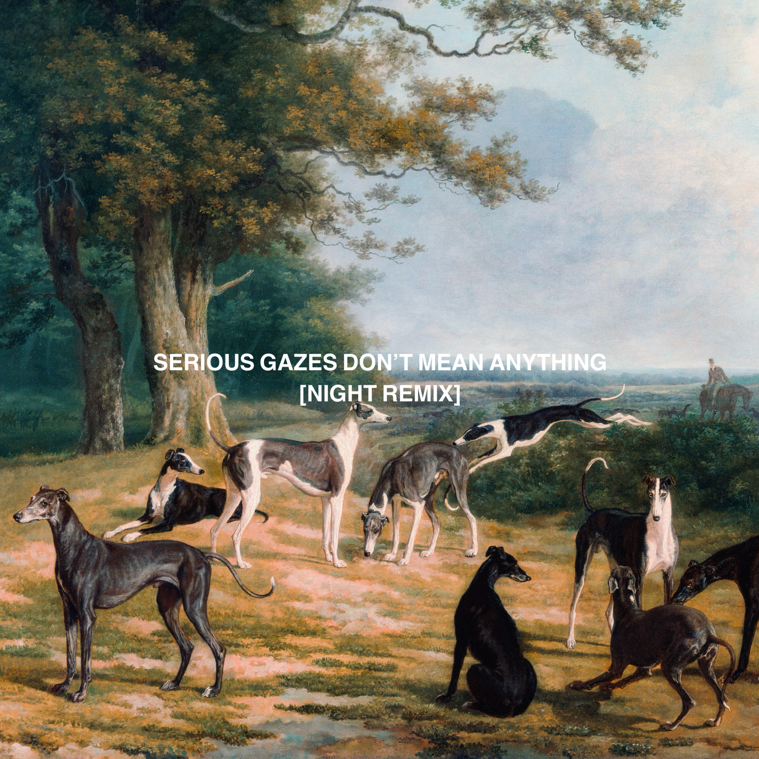 serious gazes don’t mean anything (night remix) by costa gava cover art
