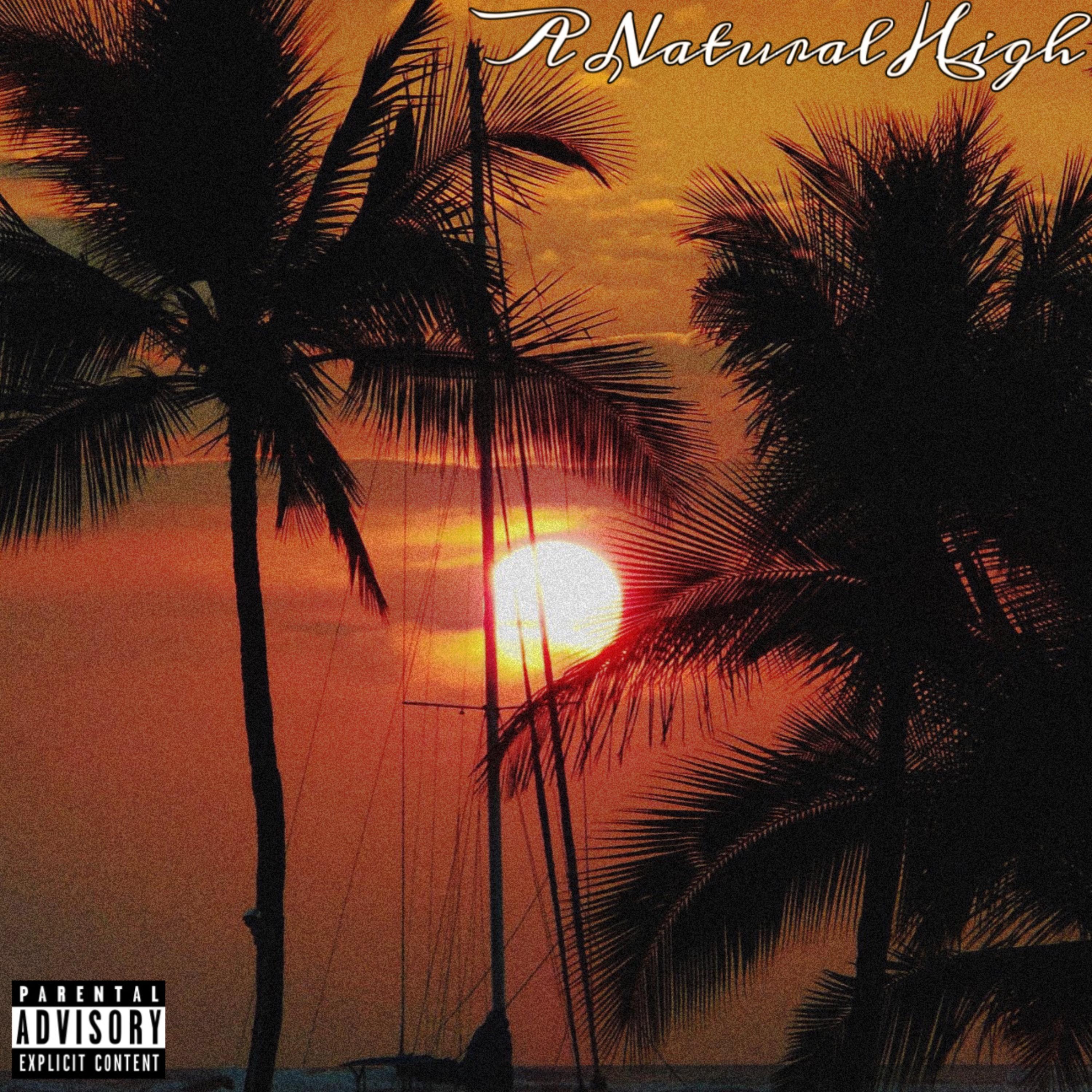 A Natural High artwork