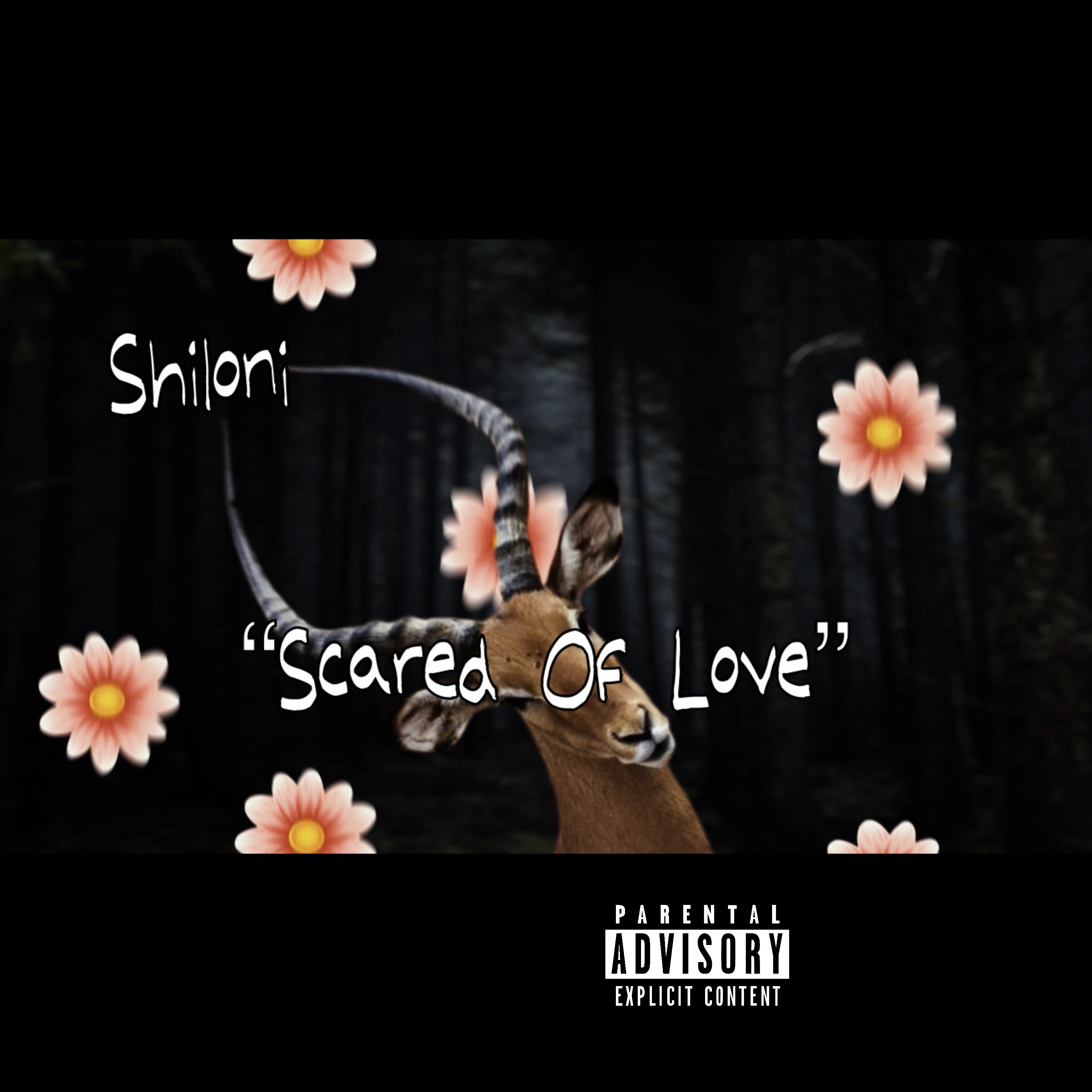 Scared Of Love artwork