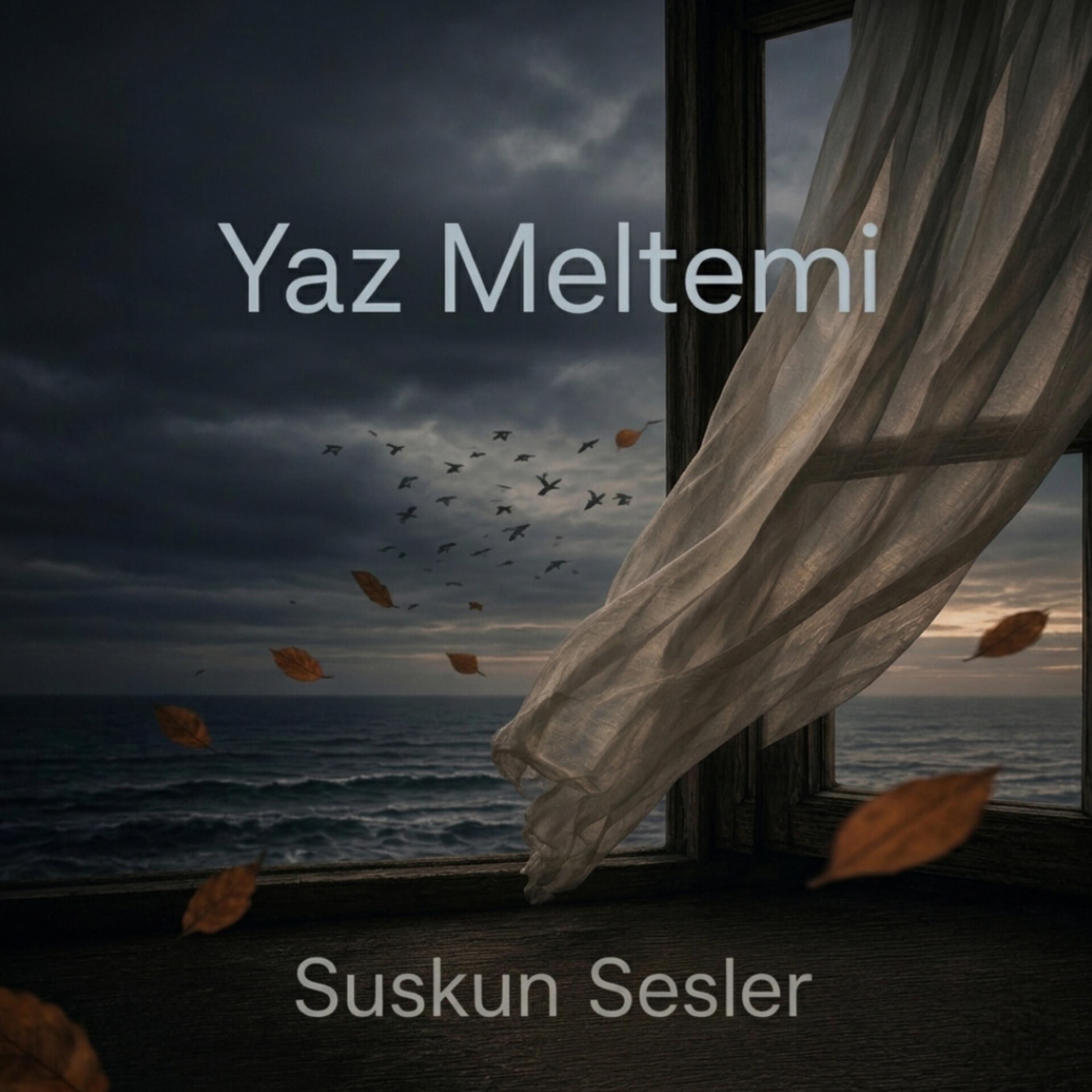 Yaz Meltemi by Suskun Sesler cover art
