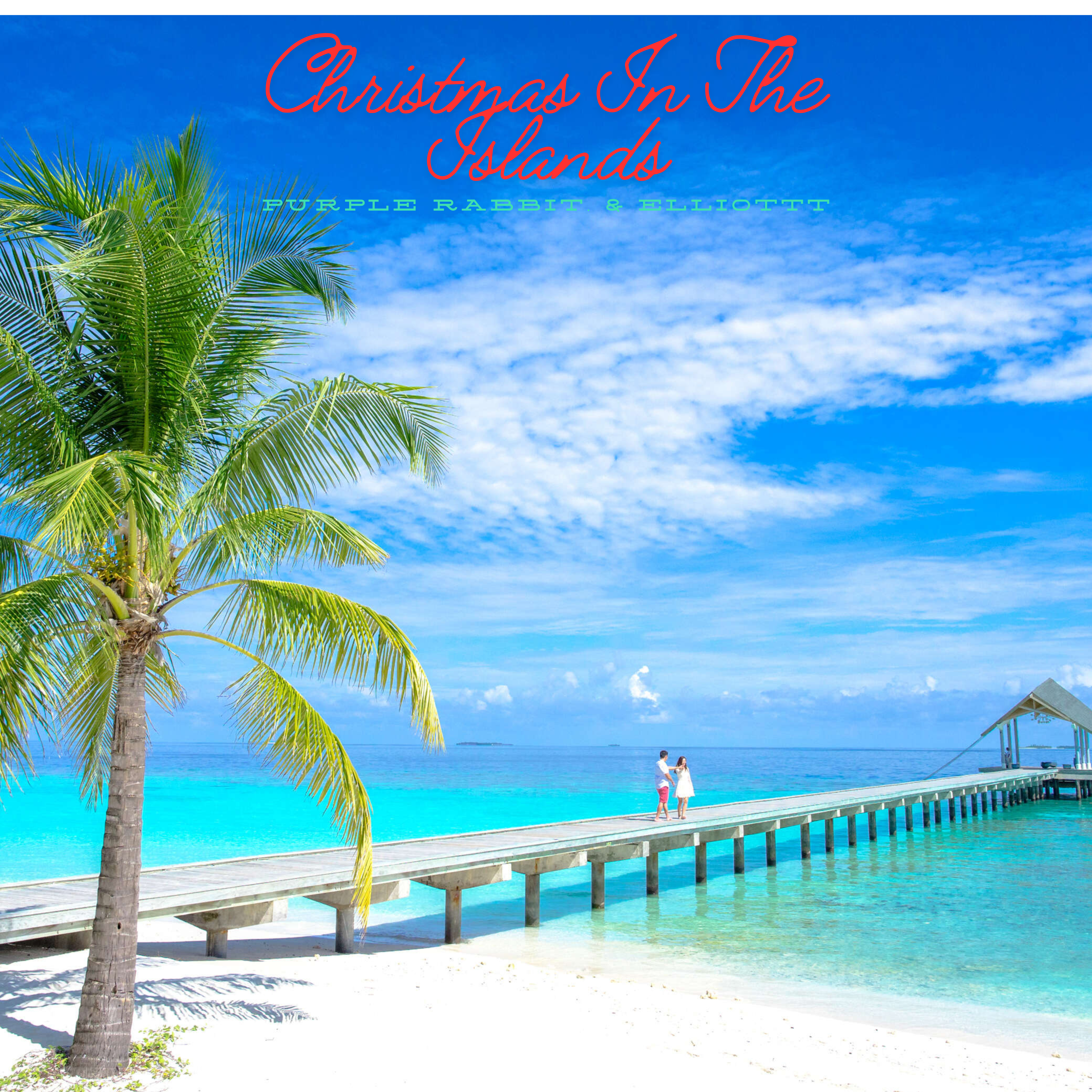 Christmas In The Islands artwork