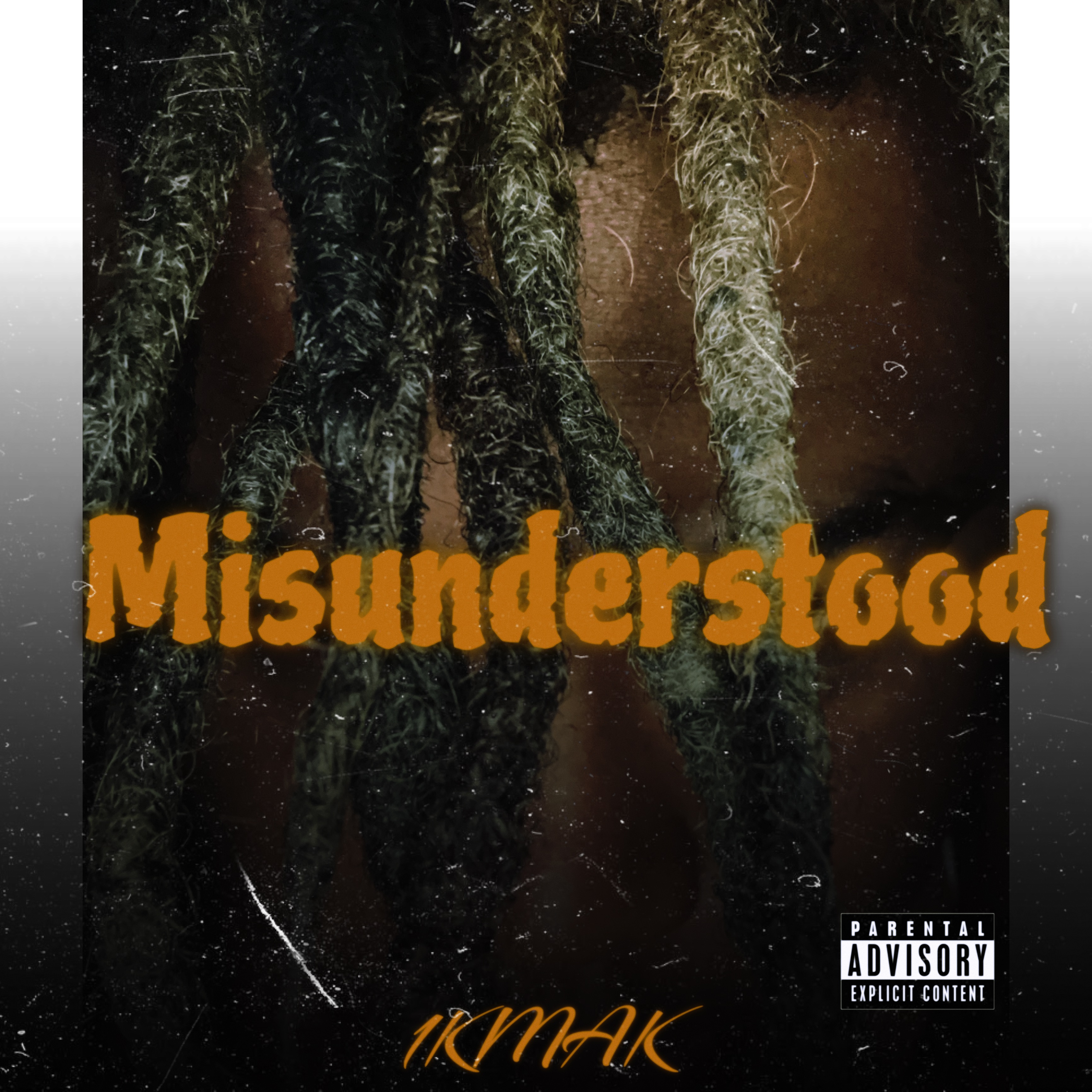 Misunderstood artwork