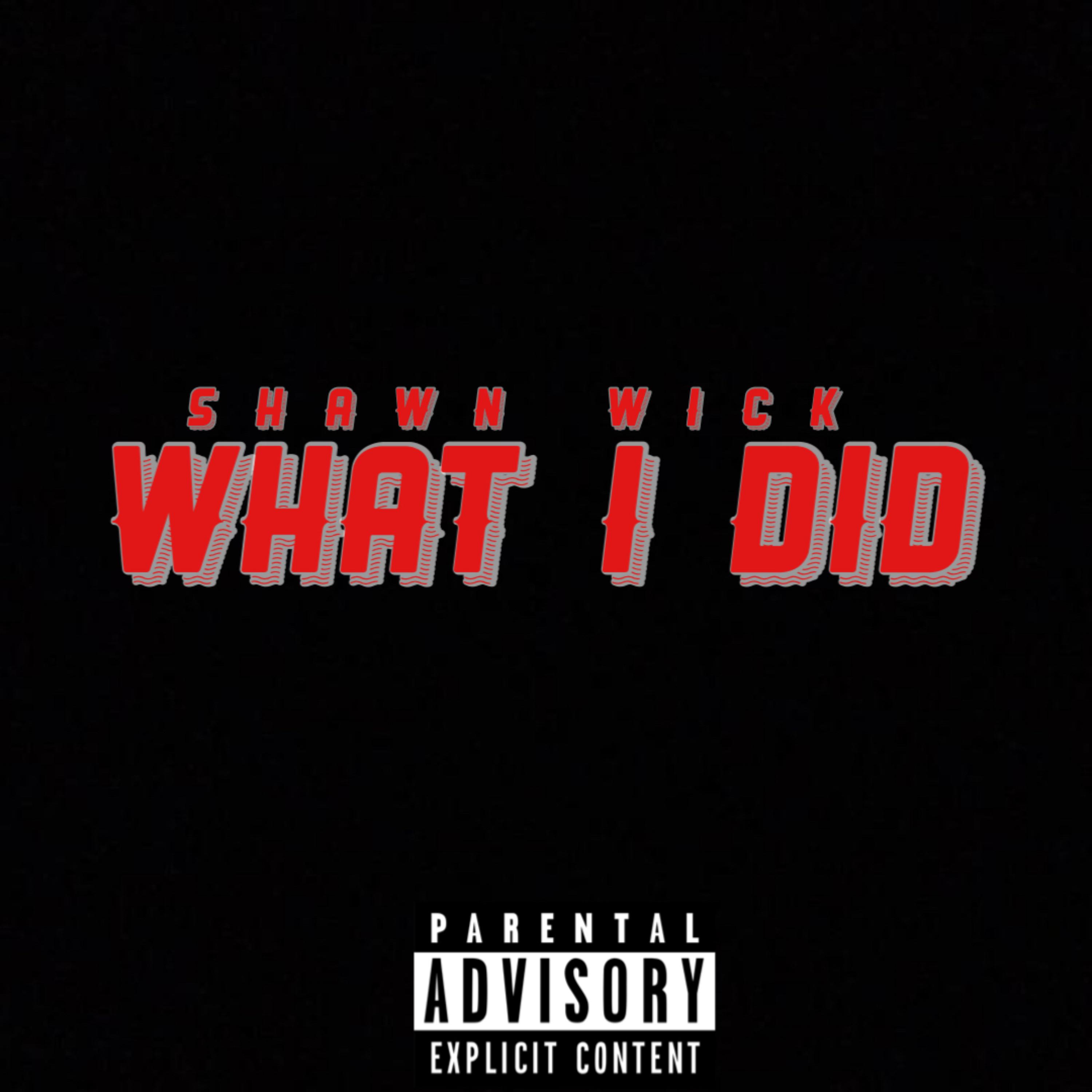 What I Did artwork